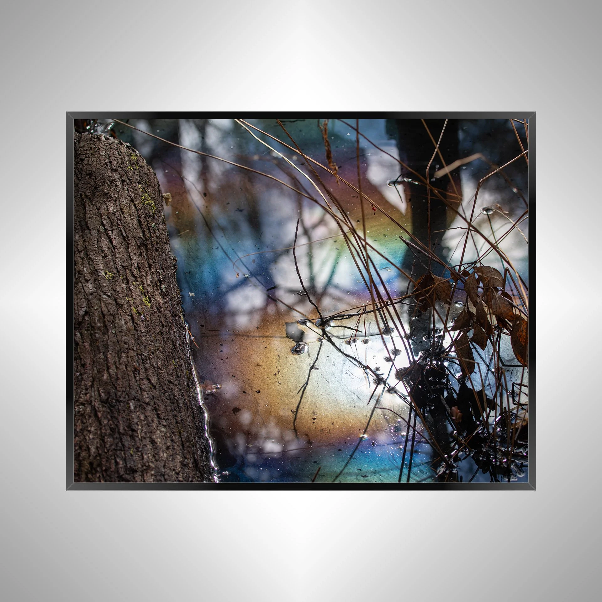 1/1 Rainbow Water at First Landing