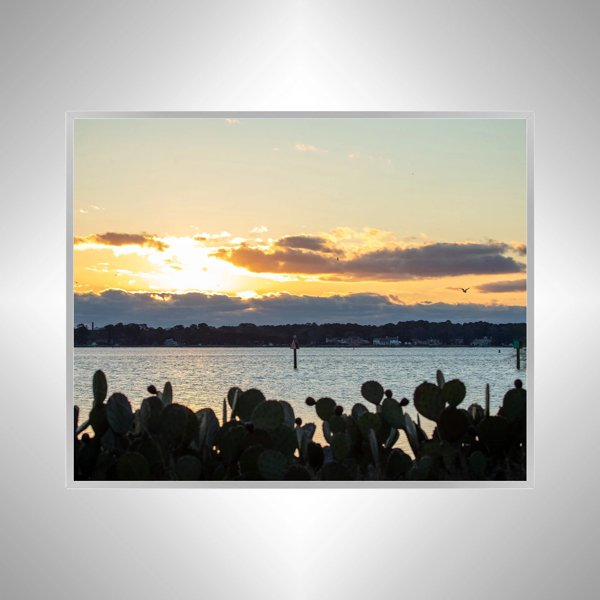 1:1 Lafayette River at Sunrise with Seagull- Silver Metal.jpg