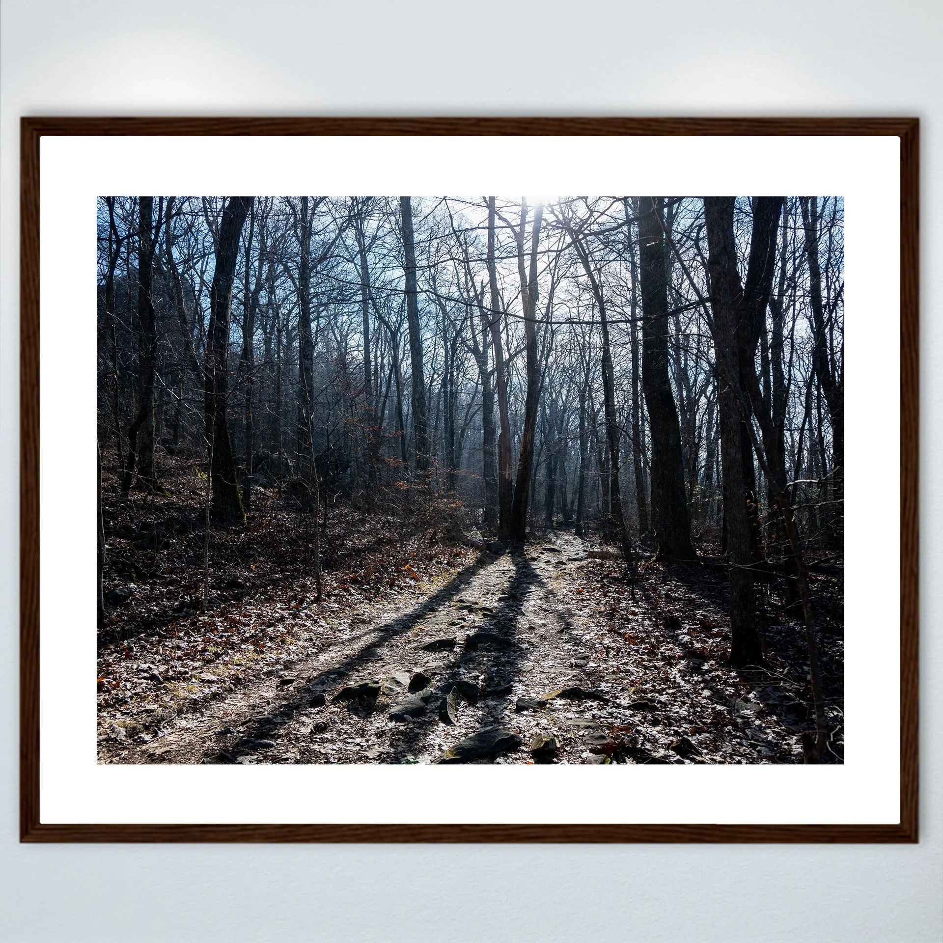 1:10 Shenandoah National Park Trail- Wood w: Border.jpg