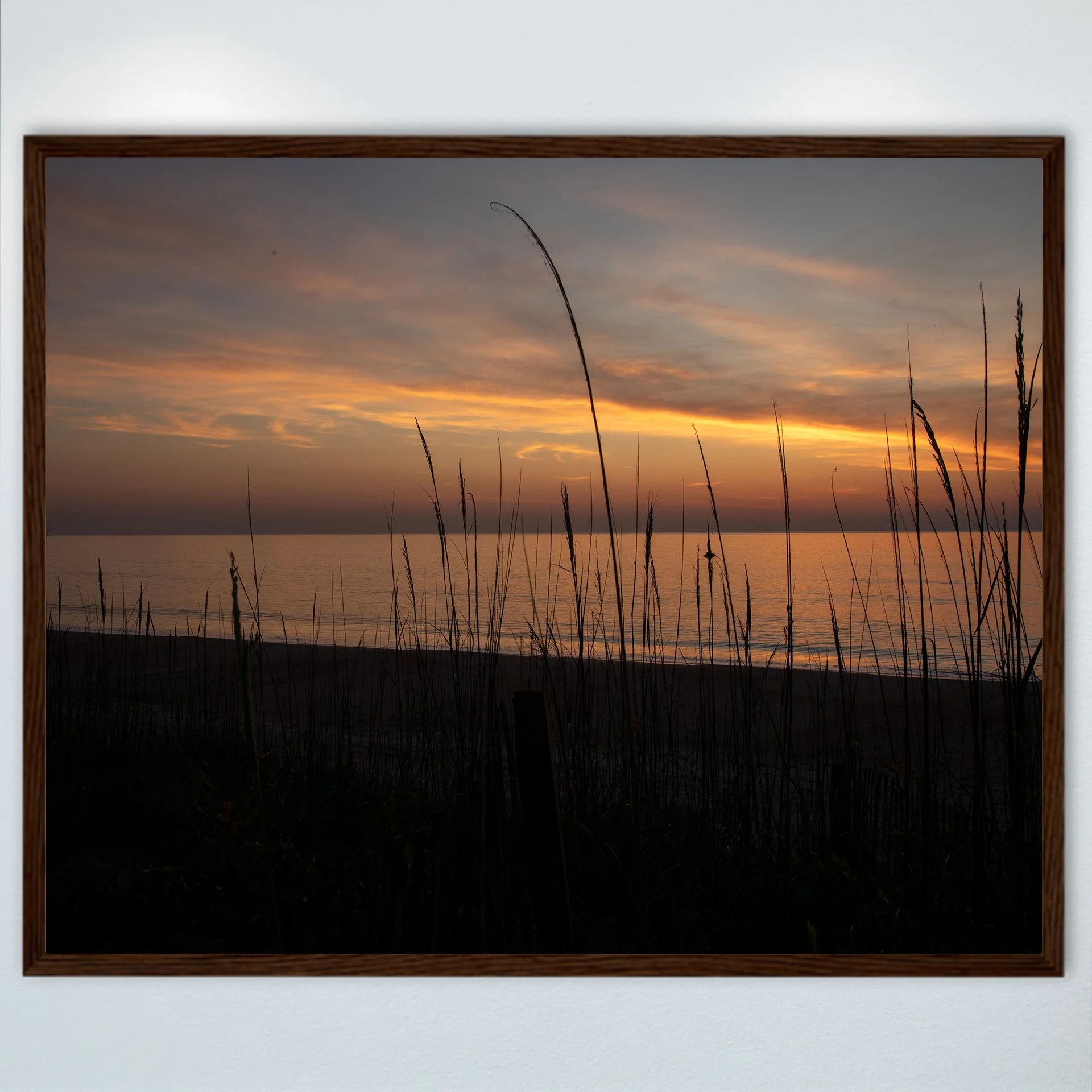 1:1 Sunrise behind Dunegrass- Wood.jpg