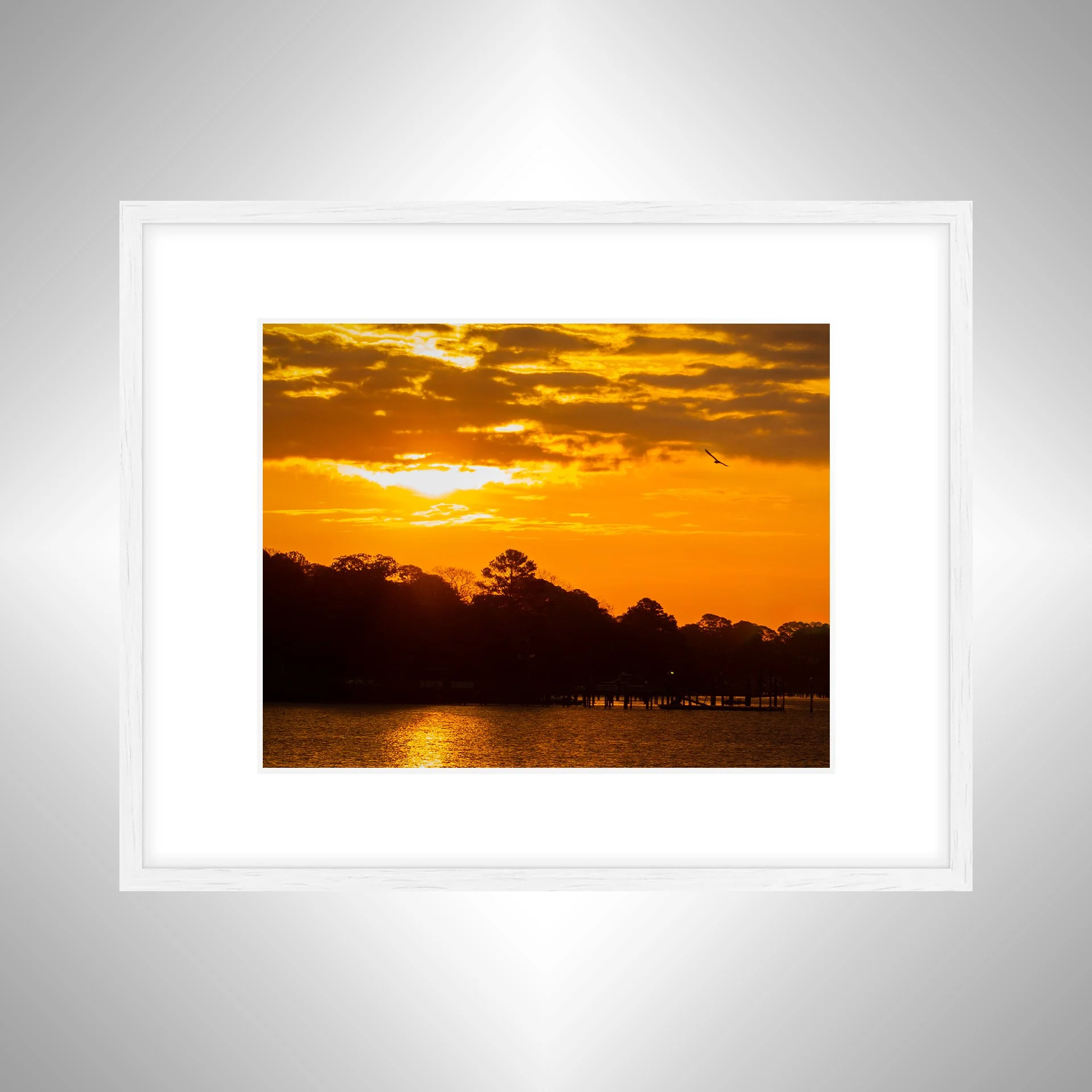 1:1 Bird at Sunrise on the Lafayette River- White Wood w: Border.jpg