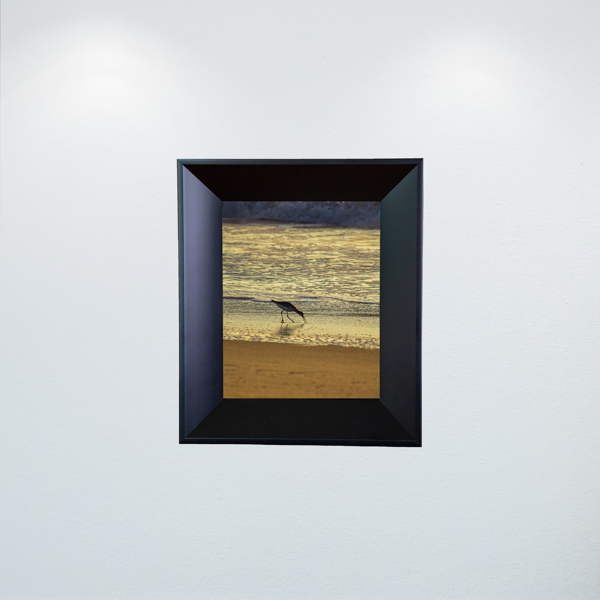 1:1 Willet Eating at Sunrise- Mini.jpg