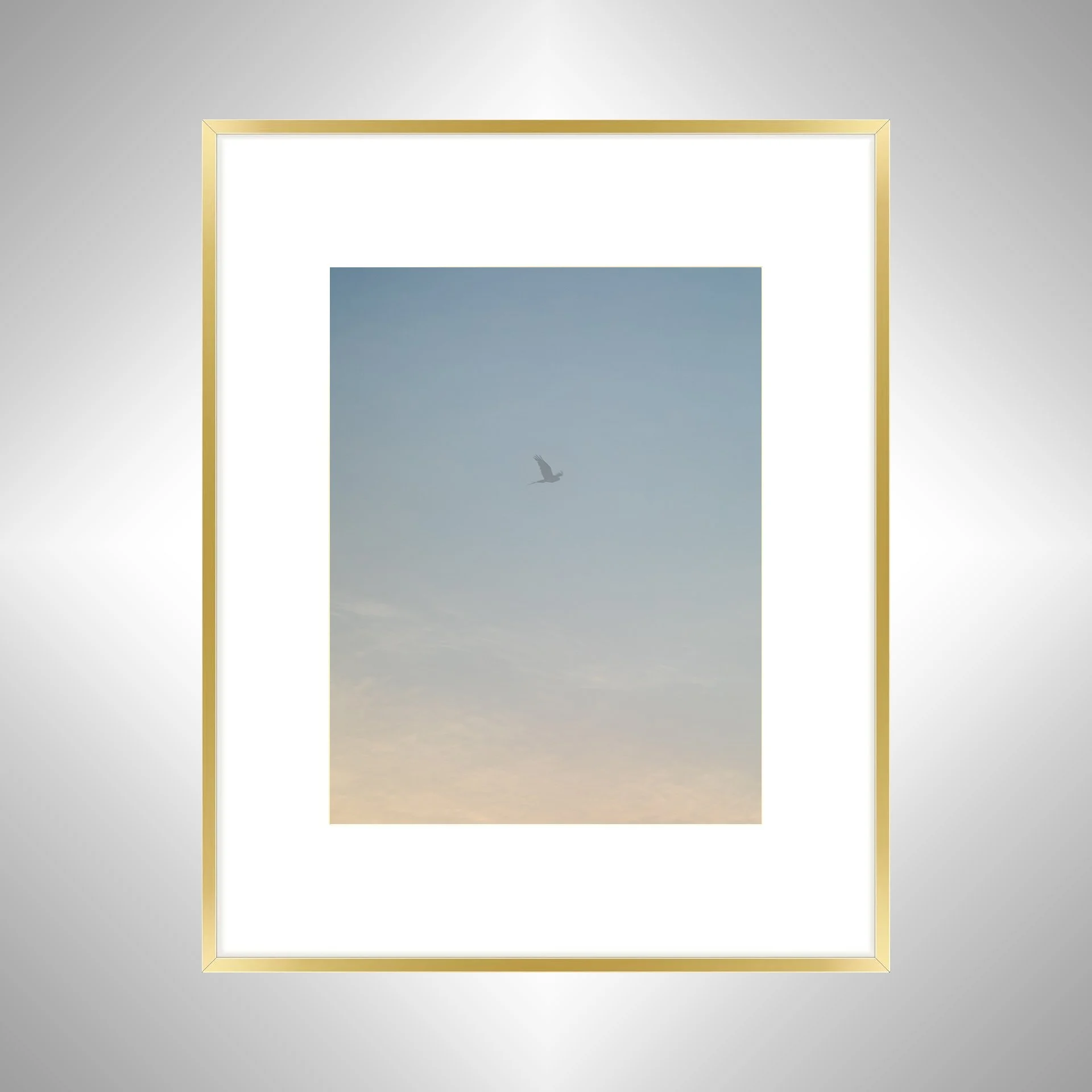 1:1 Seagull thru Fog- Gold w: Border.jpg