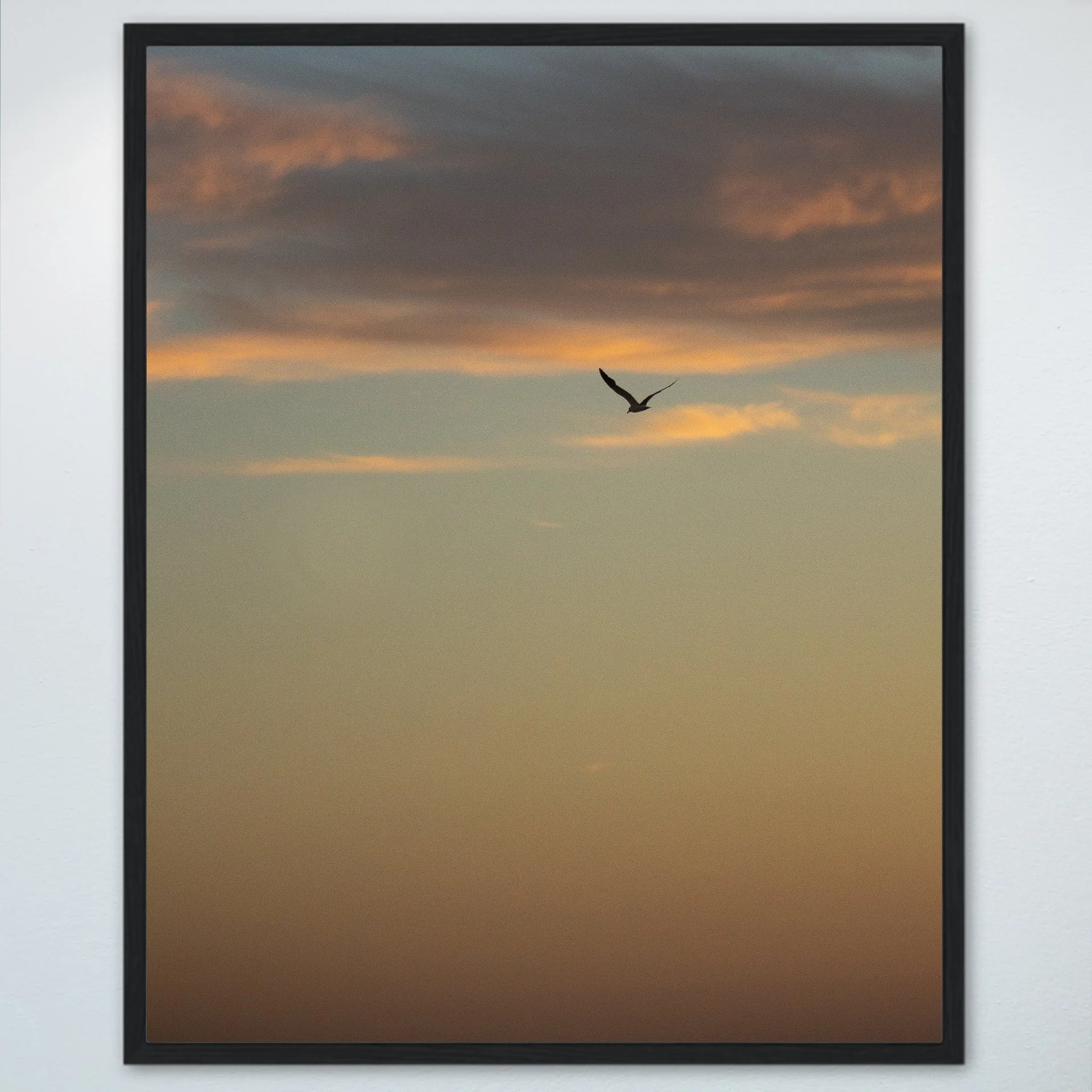 1:1 Seagull Soaring Gradient- Wood.jpg