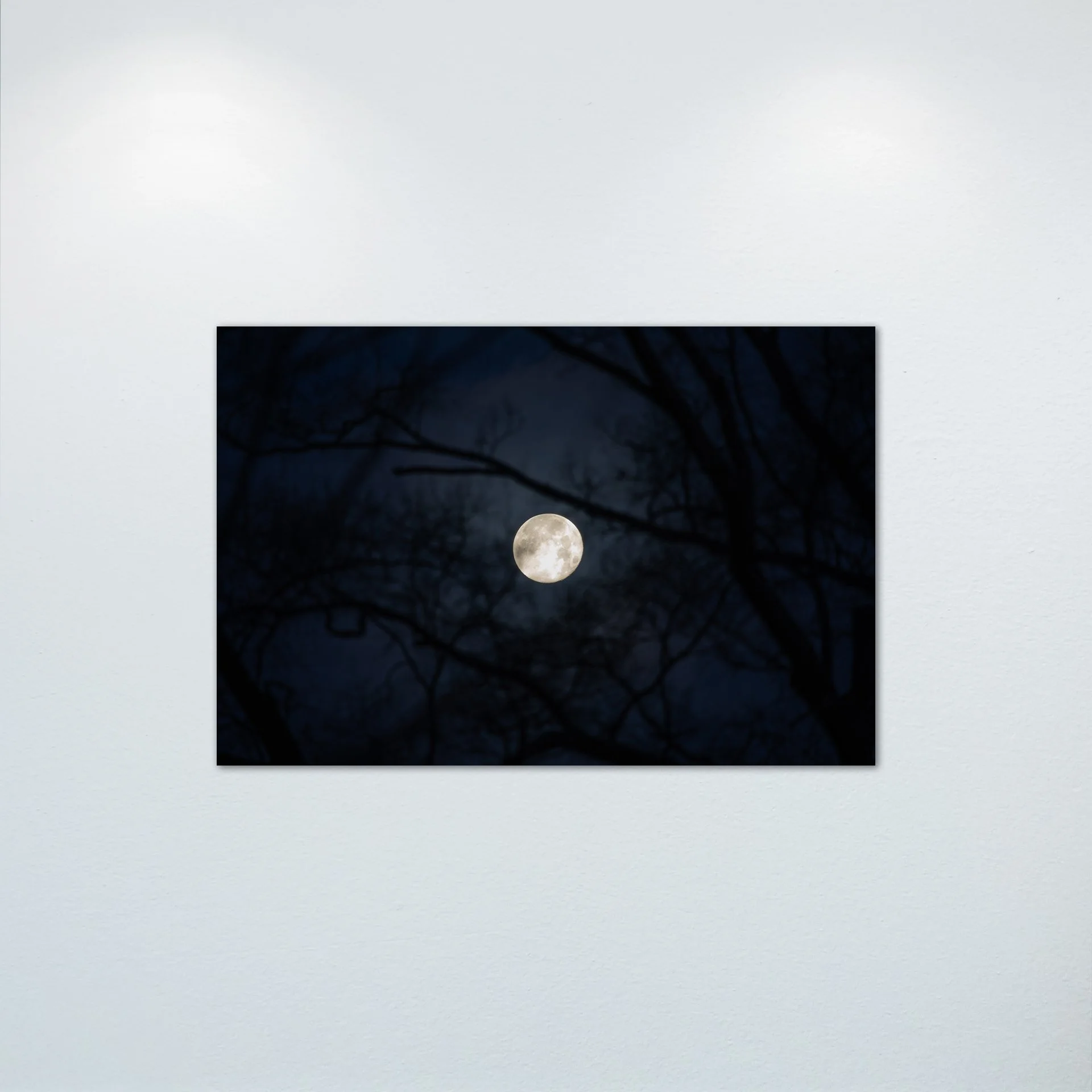 1/10 Spooky Morning in Norfolk