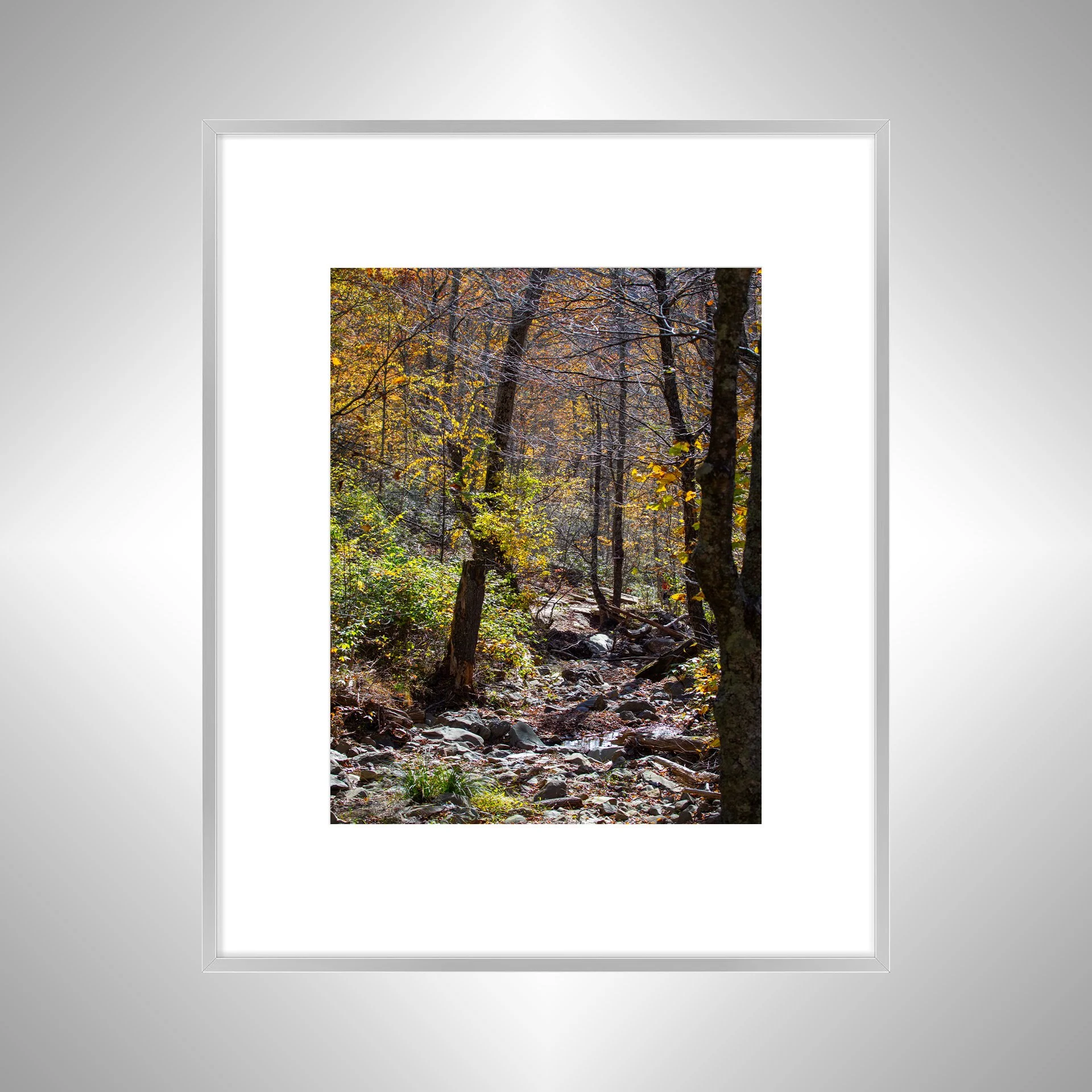 1:1 Shenandoah National Park Rocky Trail-Silver w: Border.jpg