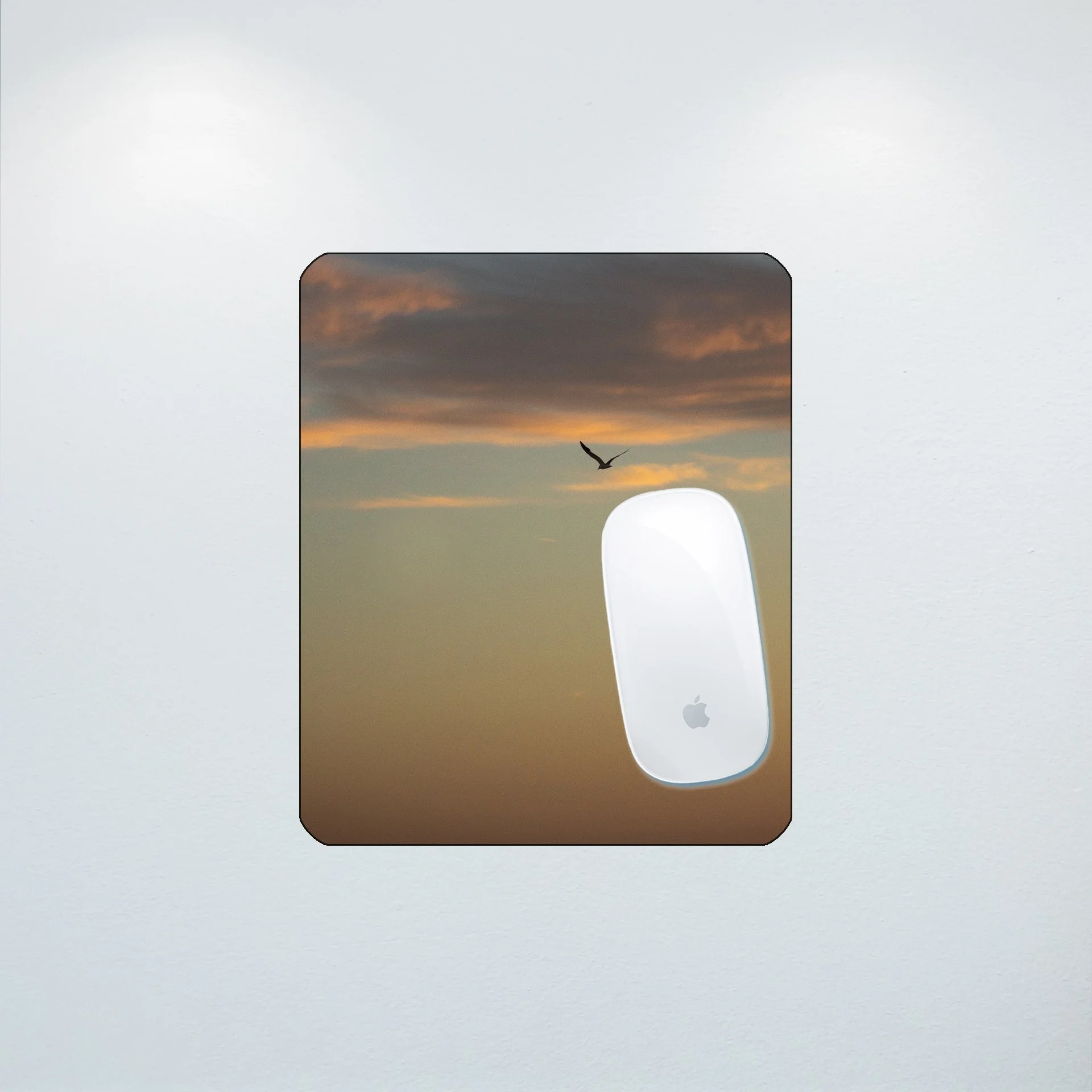 1:10 Seagull Soaring Gradient- Mouse Pad.jpg