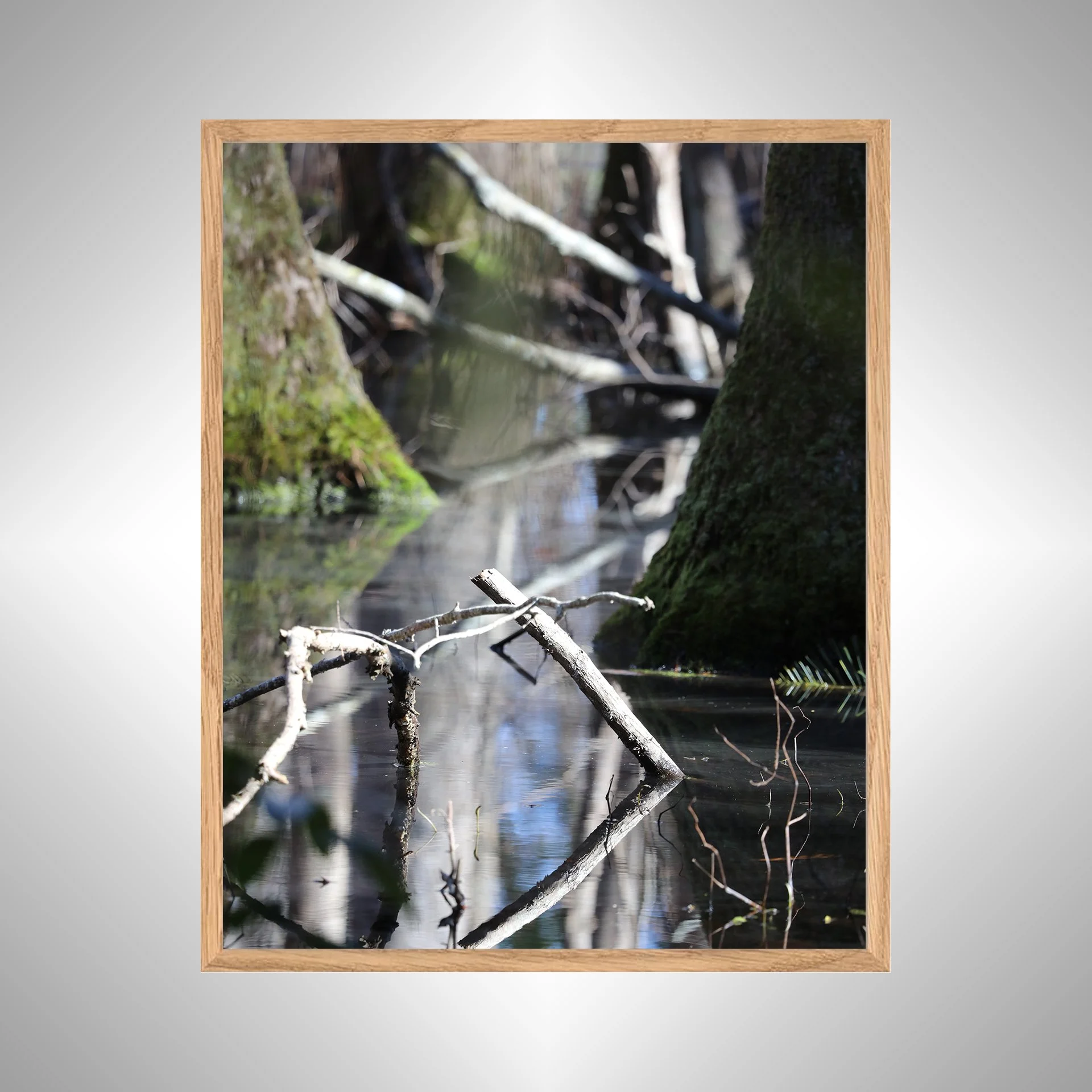 1:1 Stick Reflection in Tree Pond at Seashore State Park- White copy NATTY.jpg