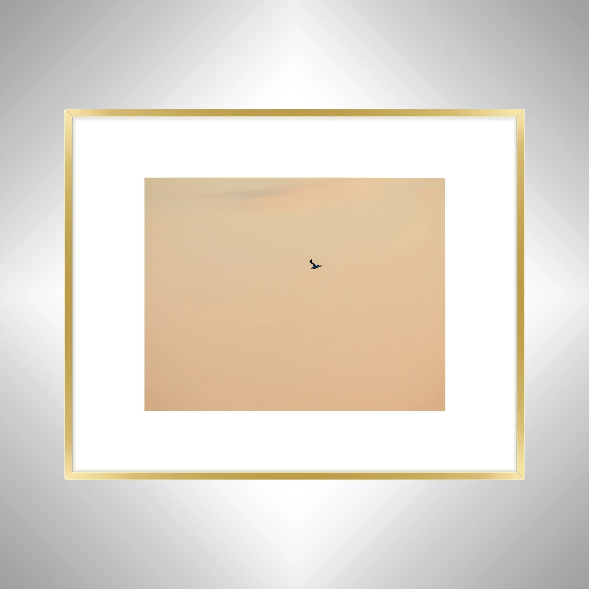 1:1 Orange Seagull- Gold w: Border.jpg