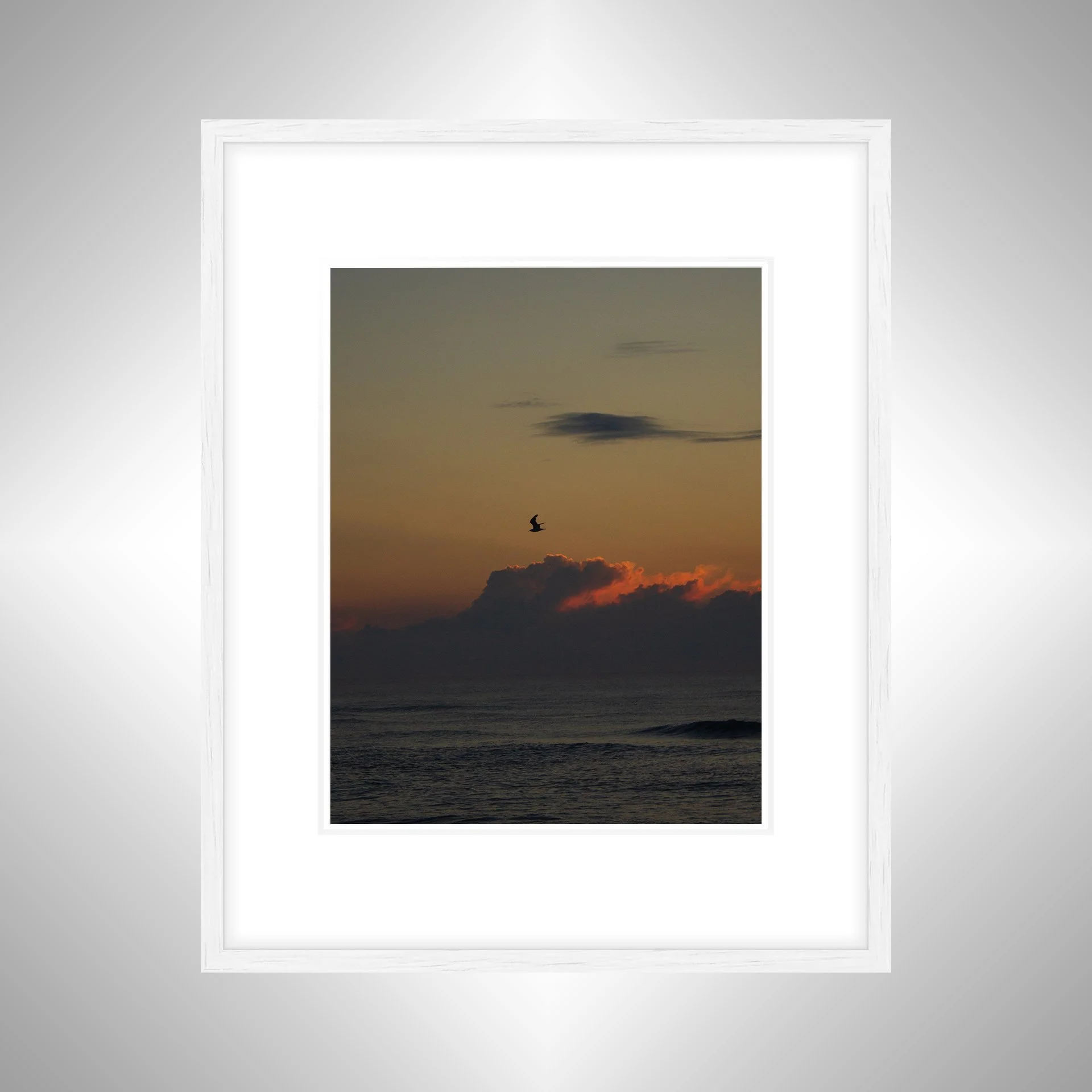 1:1 Cloudy Sunrise Soaring Seagull- White Wood w: Border.jpg