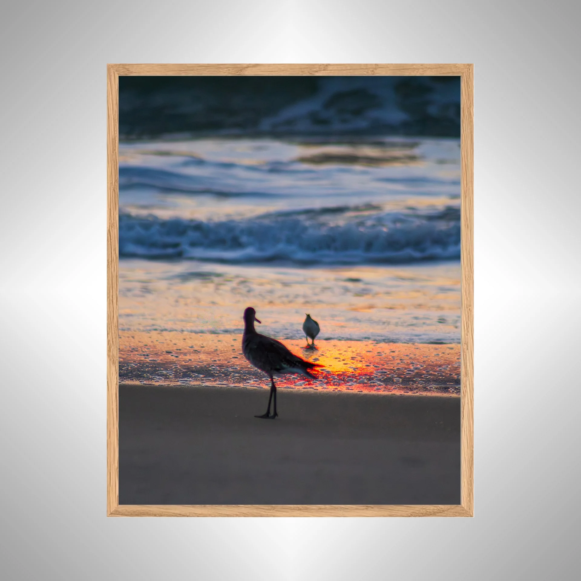 1:1 Willets at Sunrise- White copy NATTY.jpg