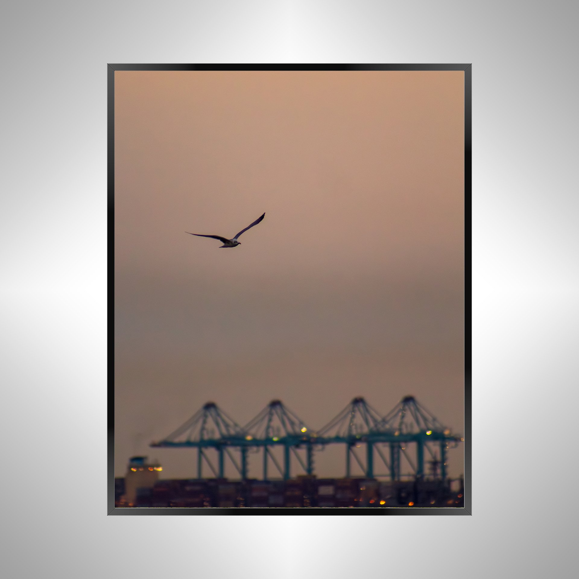 1/1 Seagull with Terminal Cranes