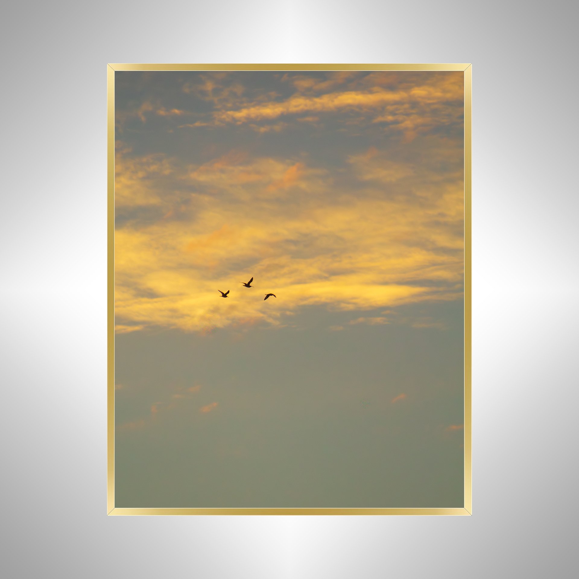 1:1 Trio of Gulls Flying at Sunrise- Gold.jpg