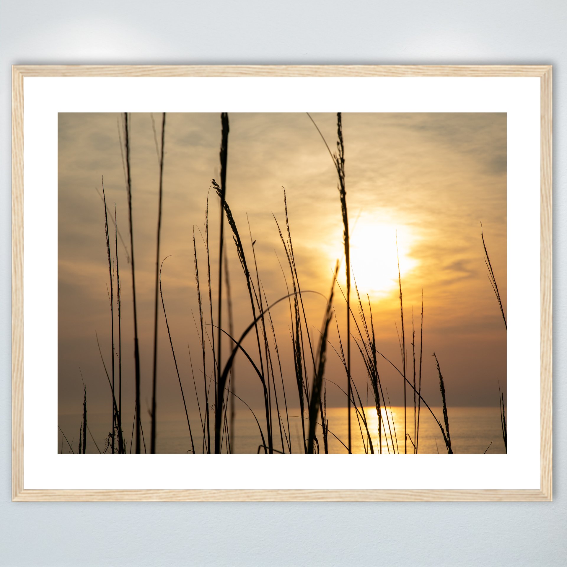 1:1 Sunny Morning thru Dunegrass- Wood w: Border.jpg