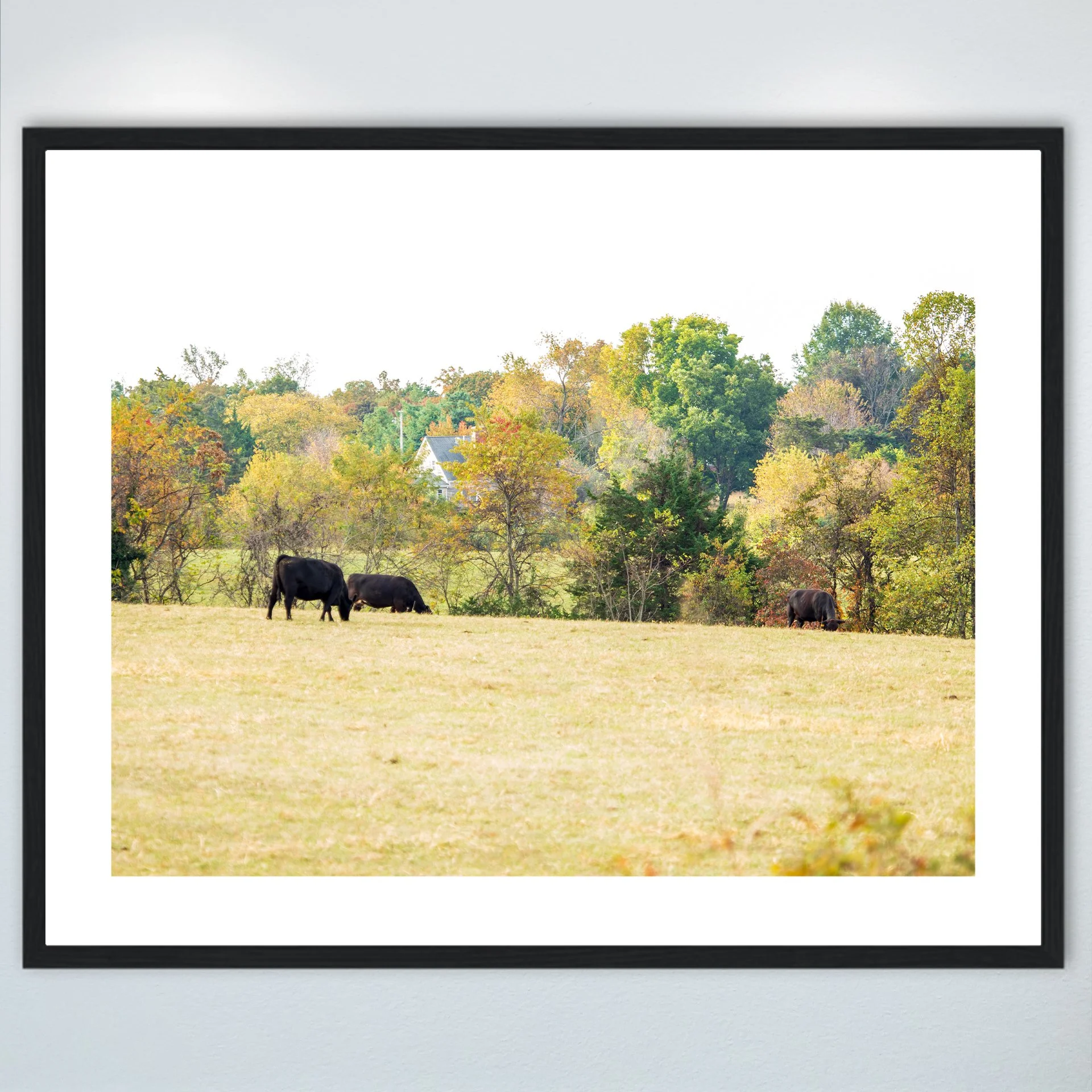 1:1 Shenandoah Grazers- Wood w: Border.jpg