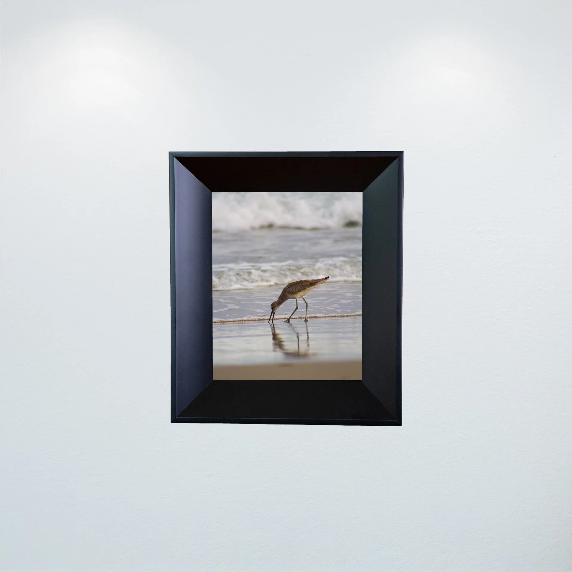 1:1 Willet Eating Reflection- Mini.jpg