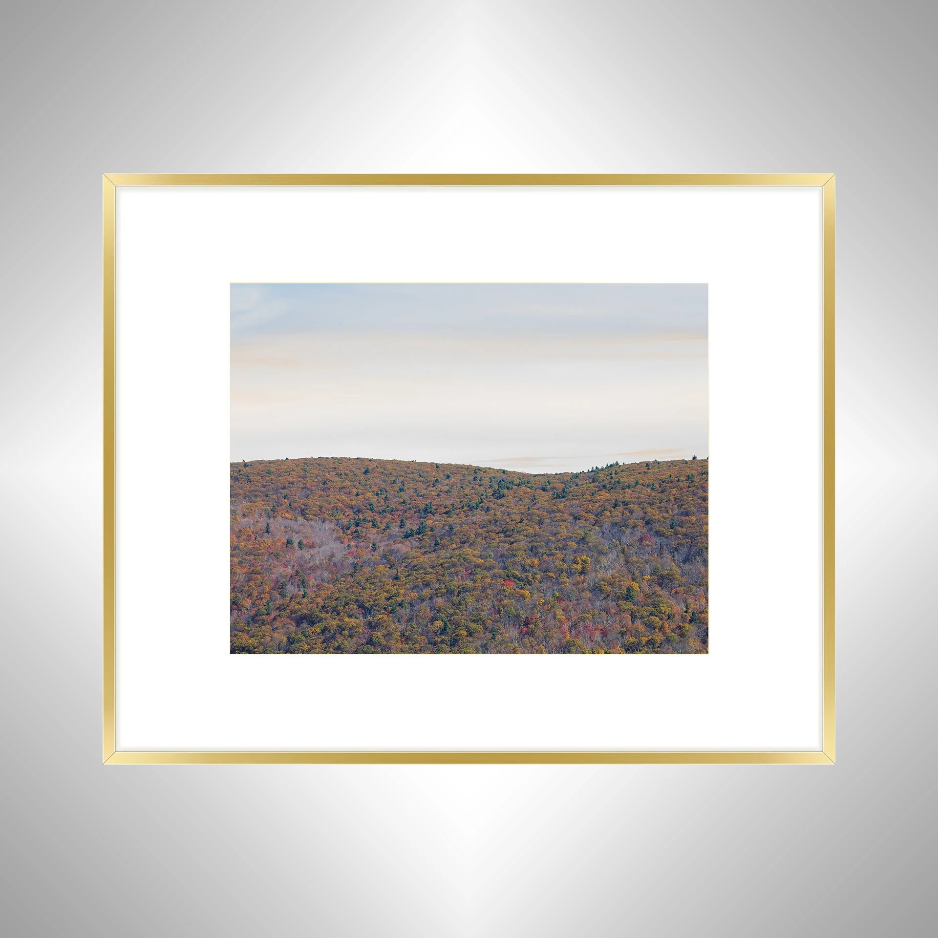 1:1 Shenandoah Mountain Tree Canopy at Fall- gold w: Border.jpg