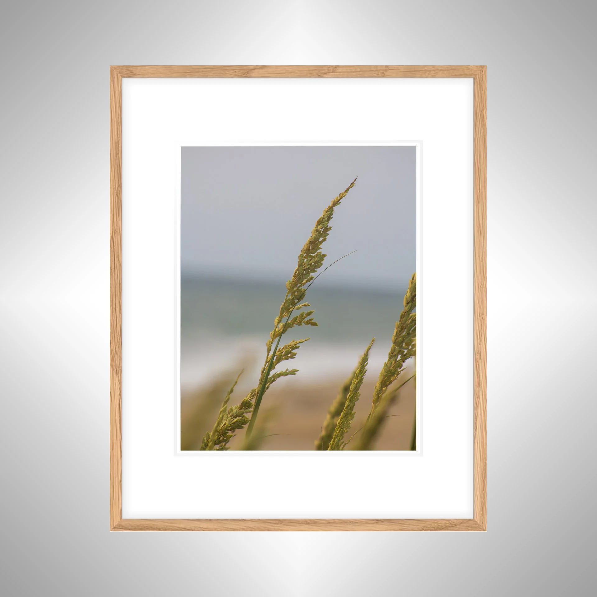 1:1 Rodanthe Dune Oats Single- White w: Border copy NATTY.jpg