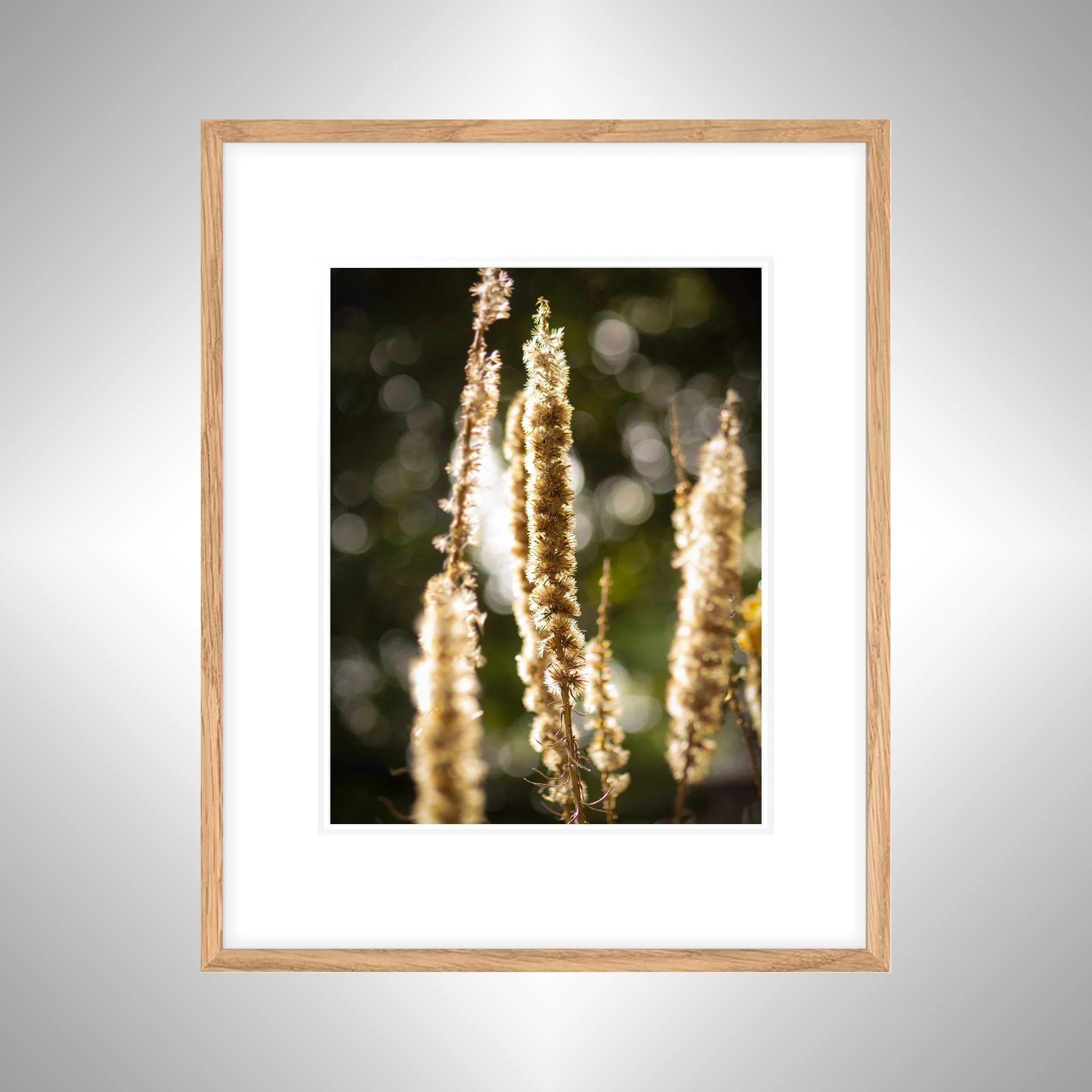 1:1 Group of Foxgloves in Winter- White Wood w: Border copy NATTY.jpg
