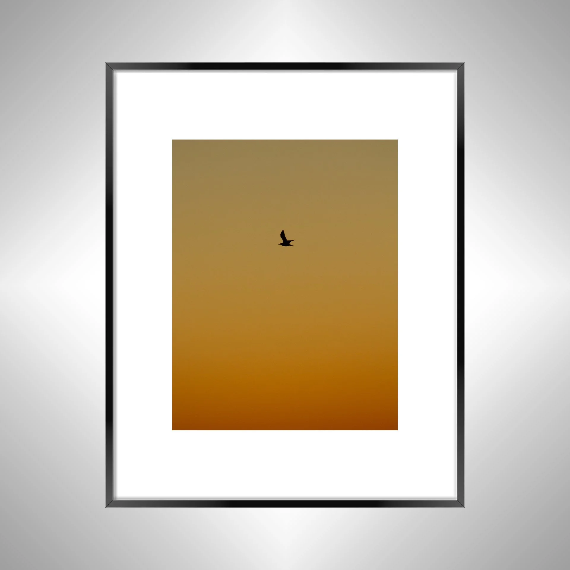 1:1 Seagull Silhouette Soaring North with Orange Gradient- Black w: Border.jpg