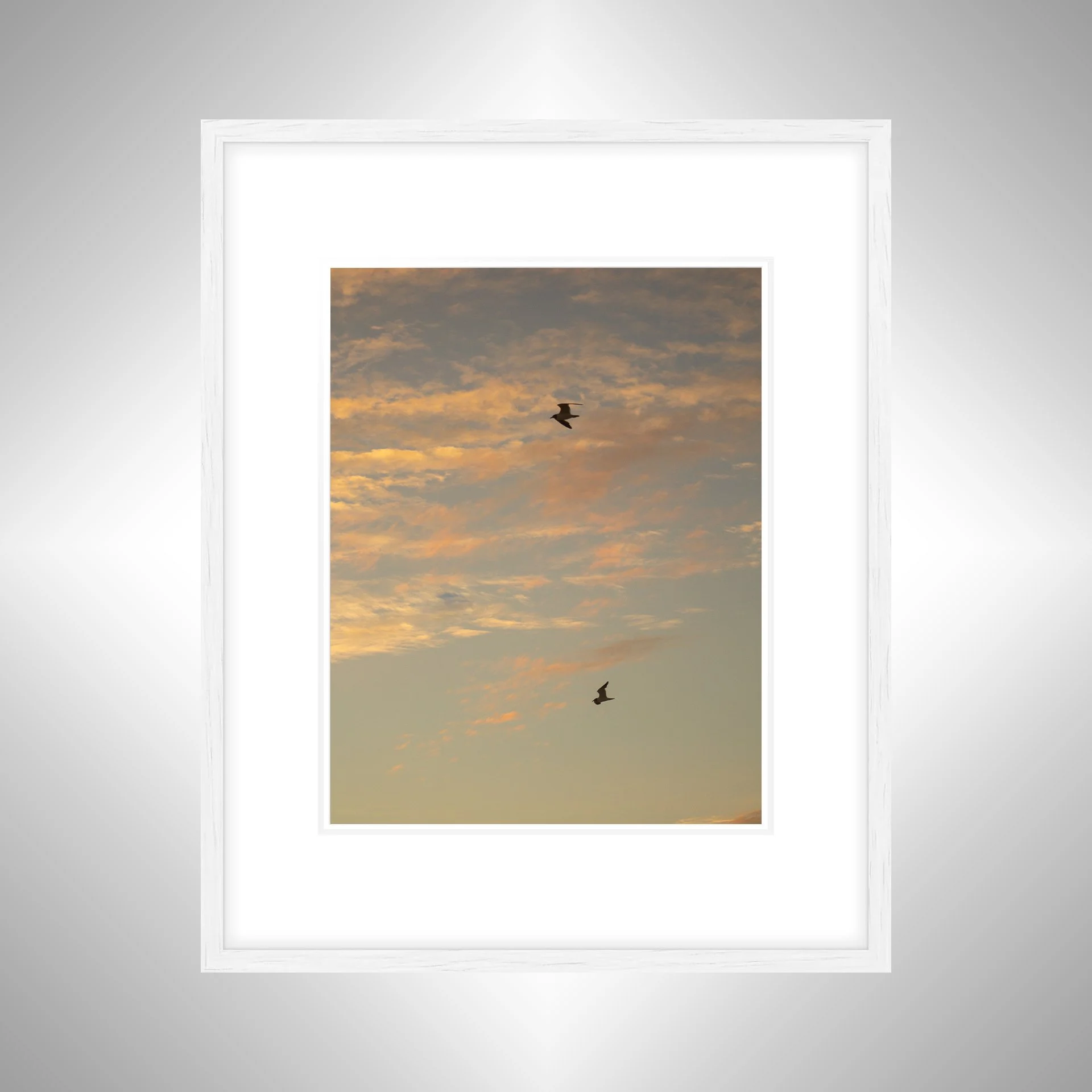 1:10 Love Birds (Seagulls)- White w: Border.jpg