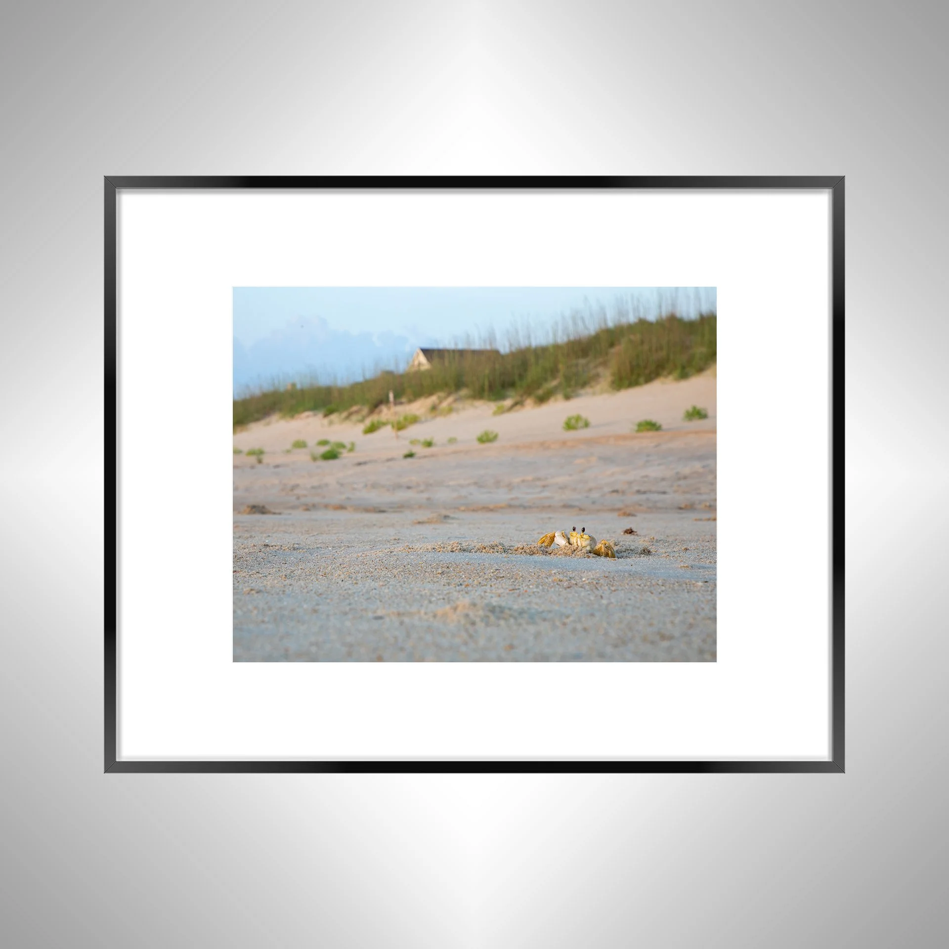 1:10 Ghost Crab Headshot- Black w: Border.jpg