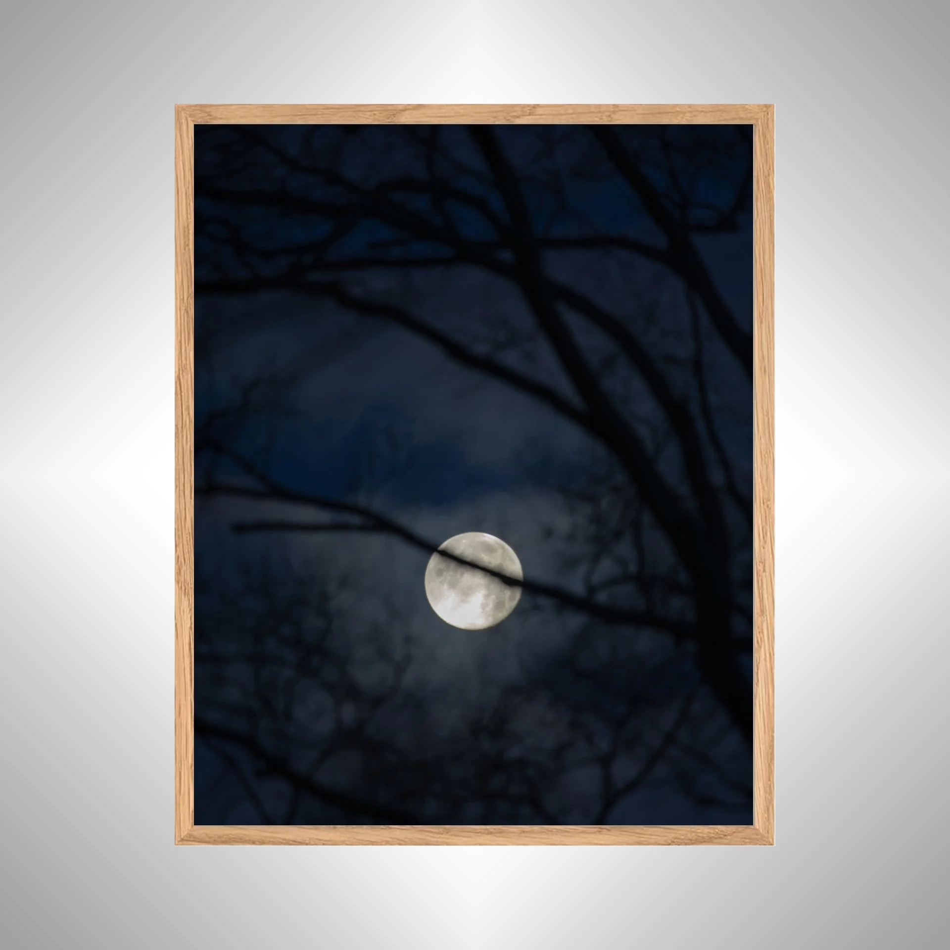 1:10 Moon thru Tree Branches- White copy NATTY.jpg