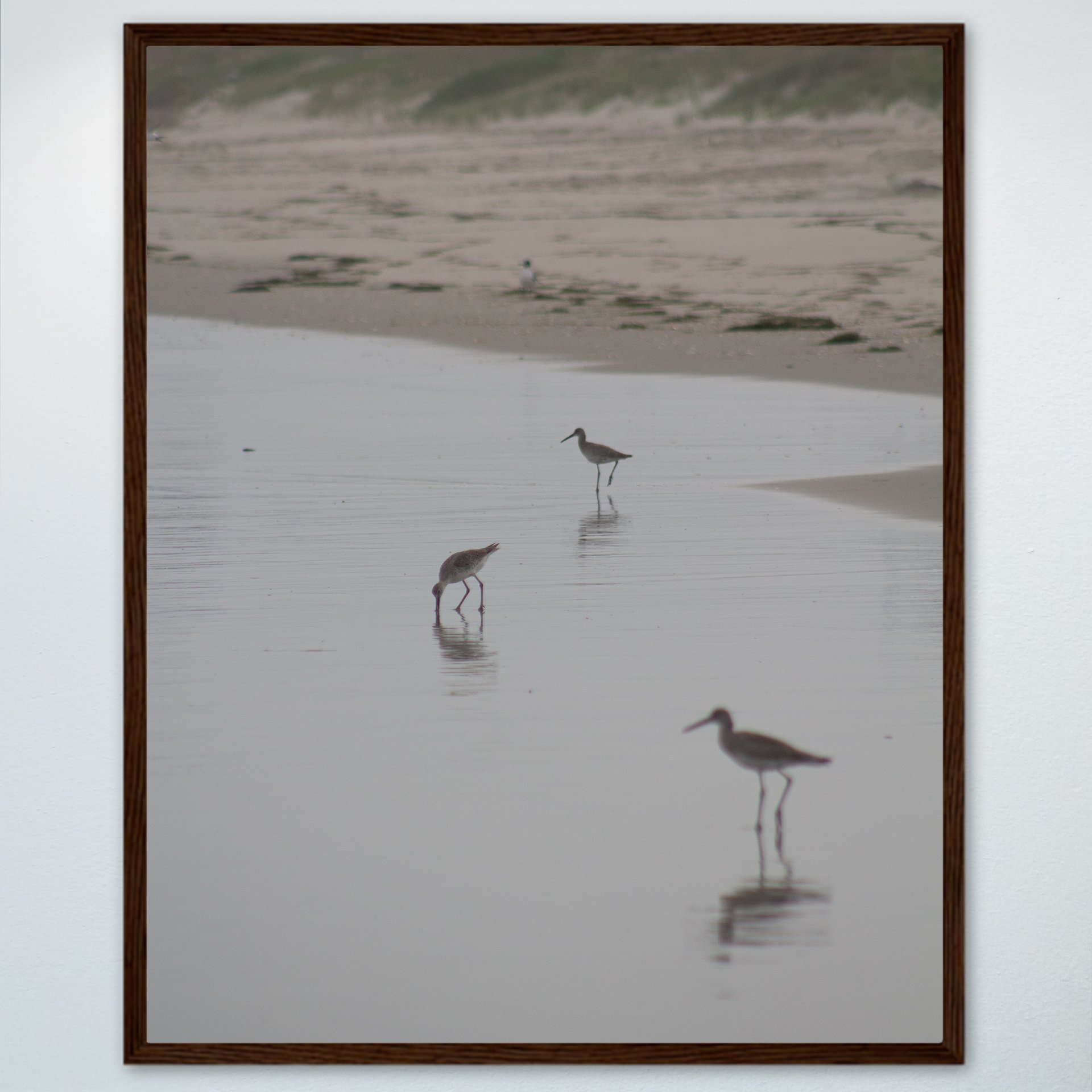 1:1 Three Willets Reflection- Wood.jpg