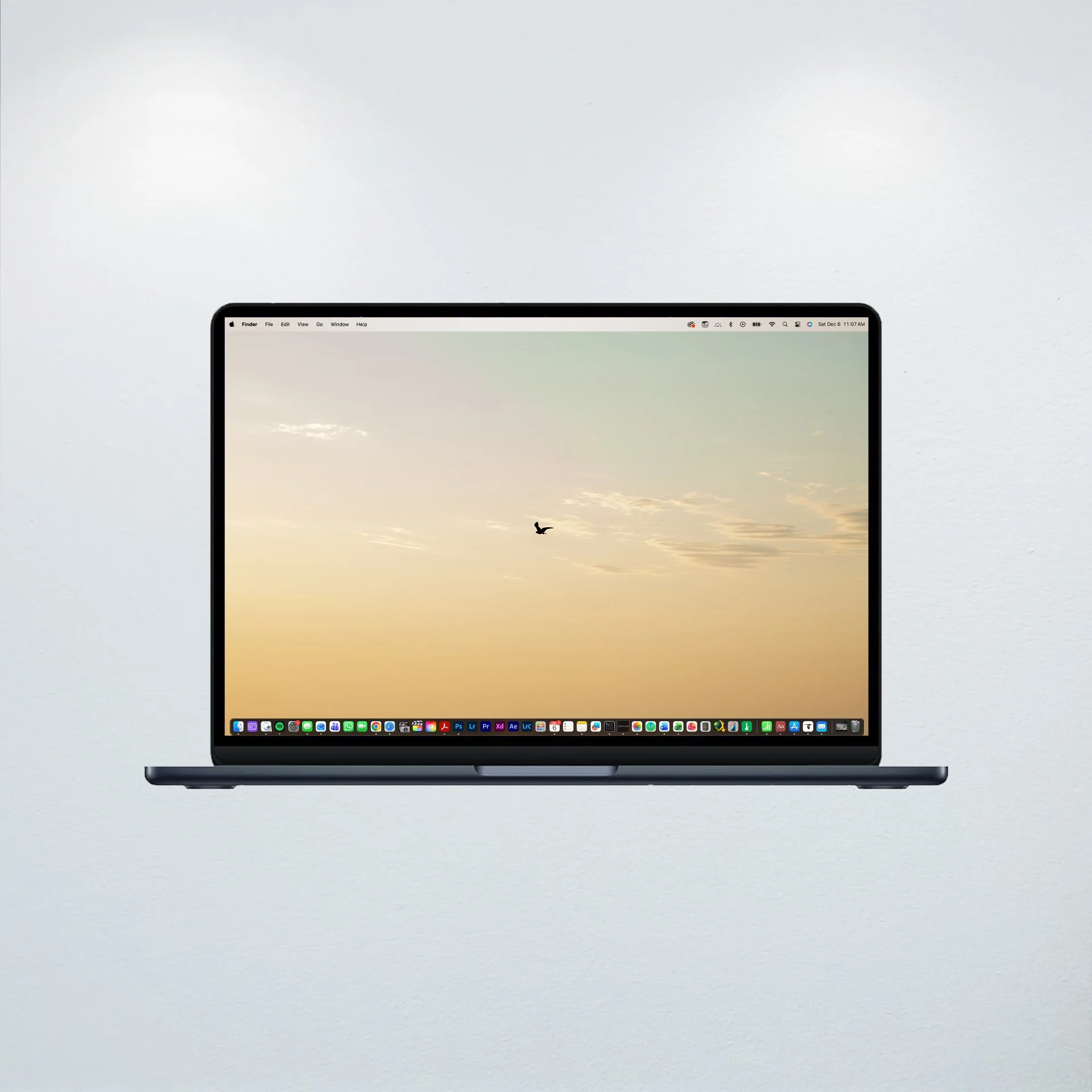 1:10 Golden Gull on Horizon- Wallpaper.jpg