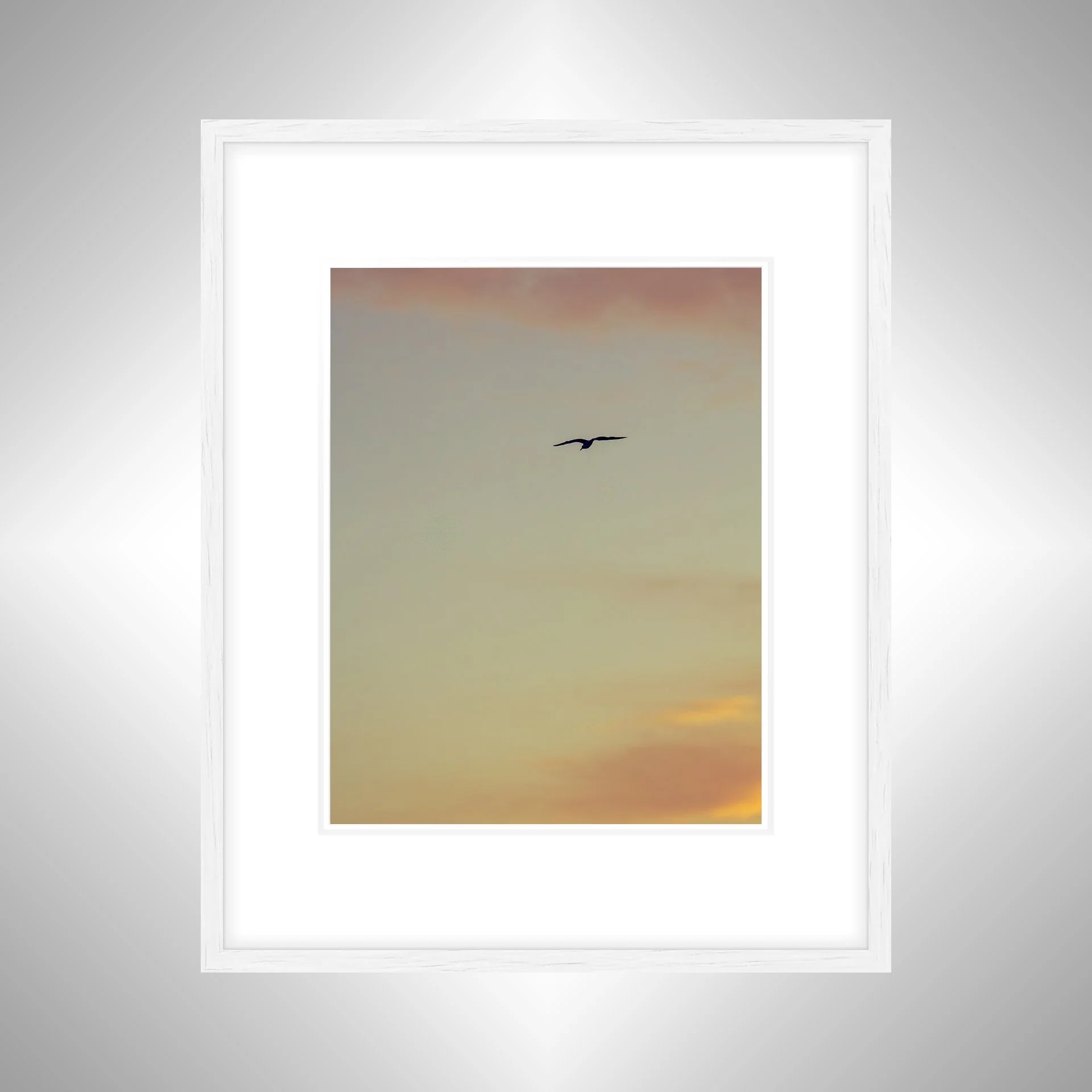 1:1 Seagull Soaring towards Pink & Orange Clouds- White w: Border.jpg