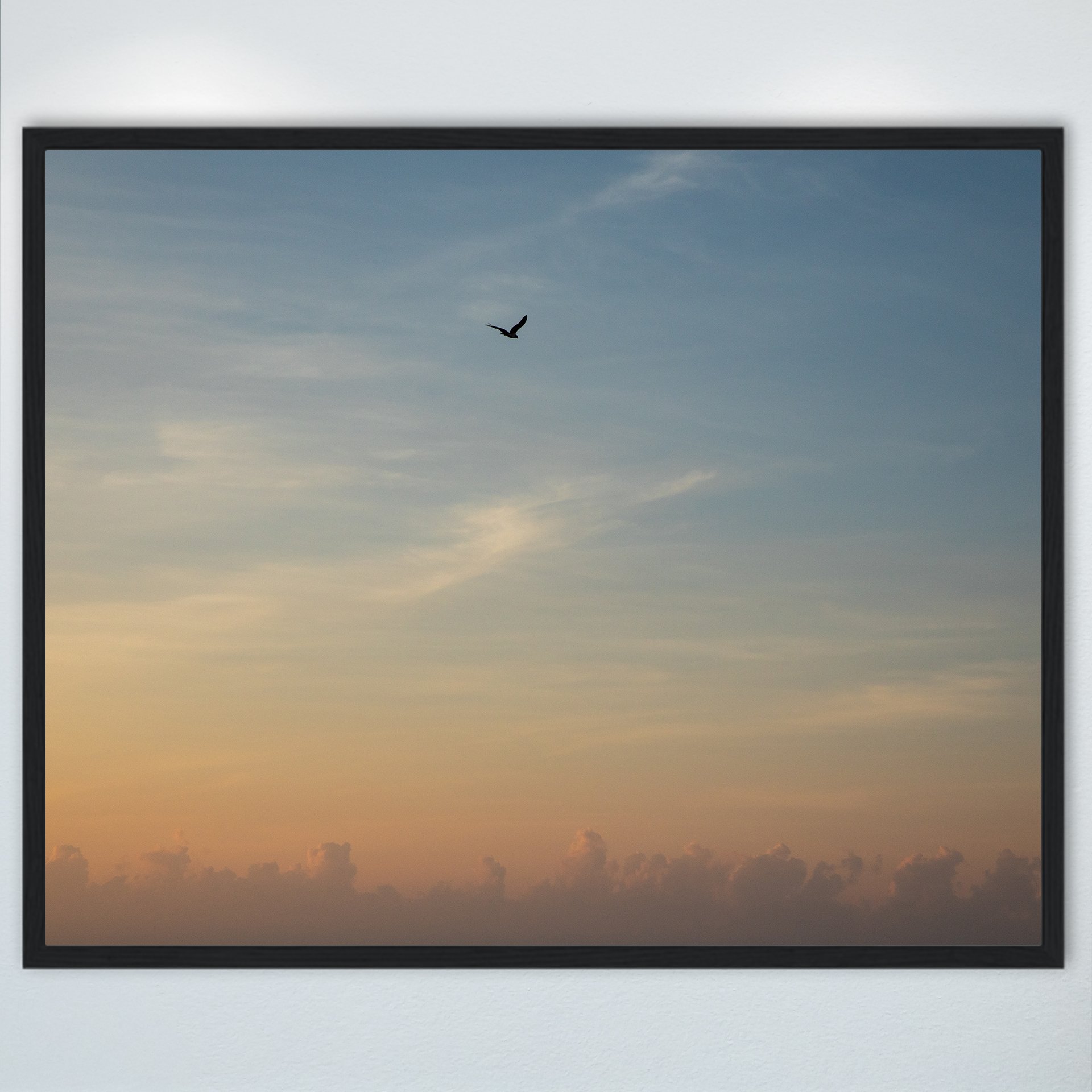 1:1 Seagull infront of Sunrise Clouds- Wood.jpg