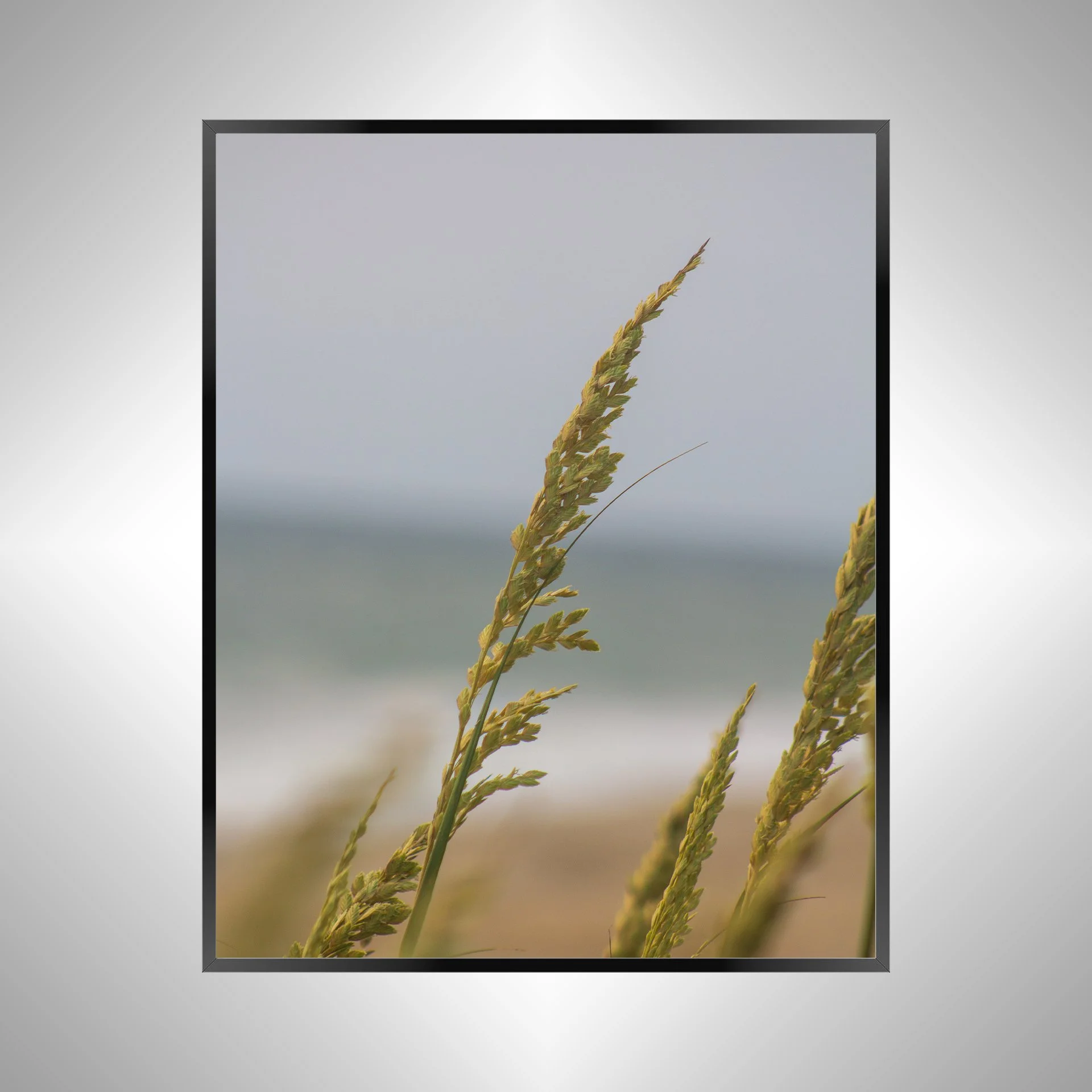 1/1 Rodanthe Dune Oats Single
