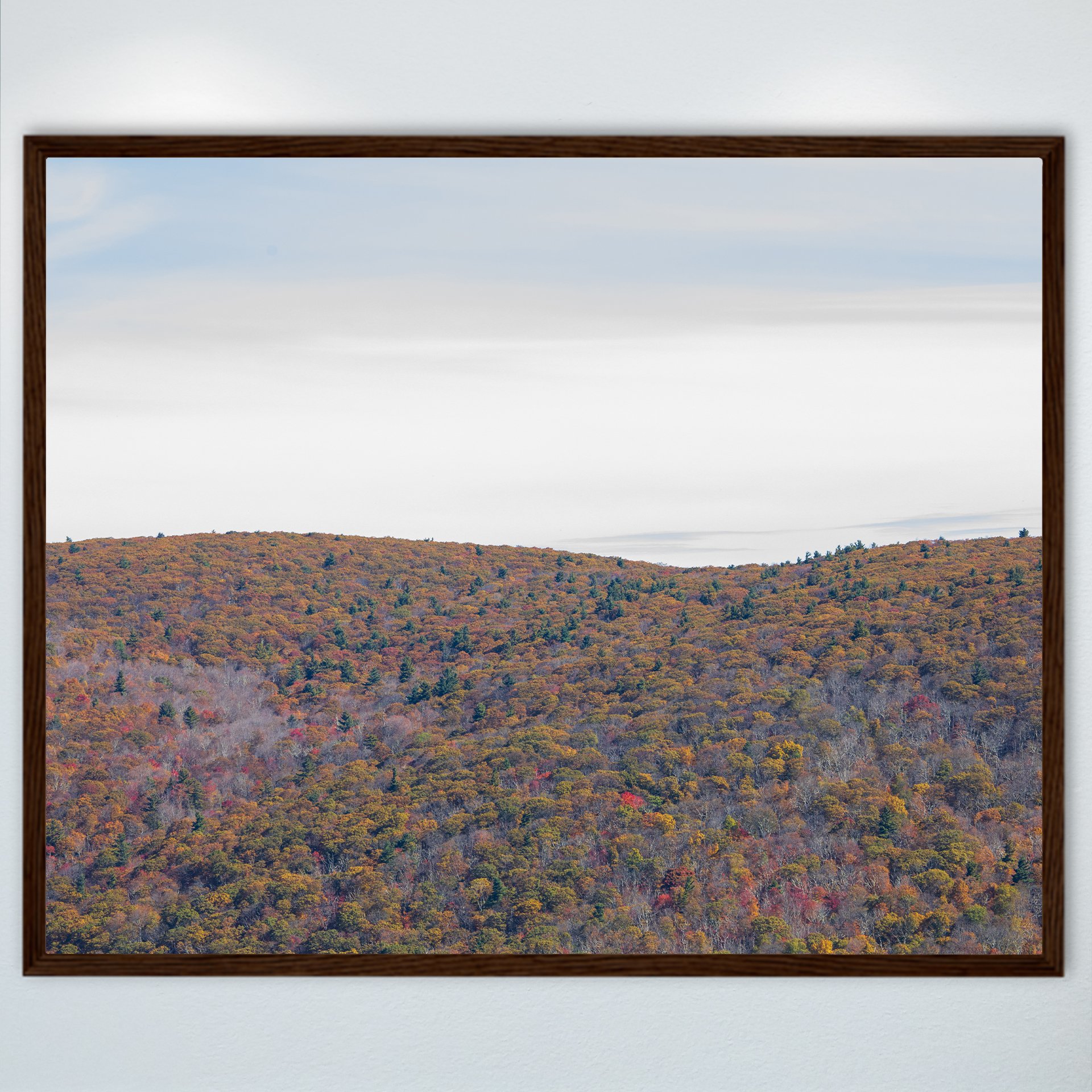 1:1 Shenandoah Mountain Tree Canopy at Fall- Wood.jpg