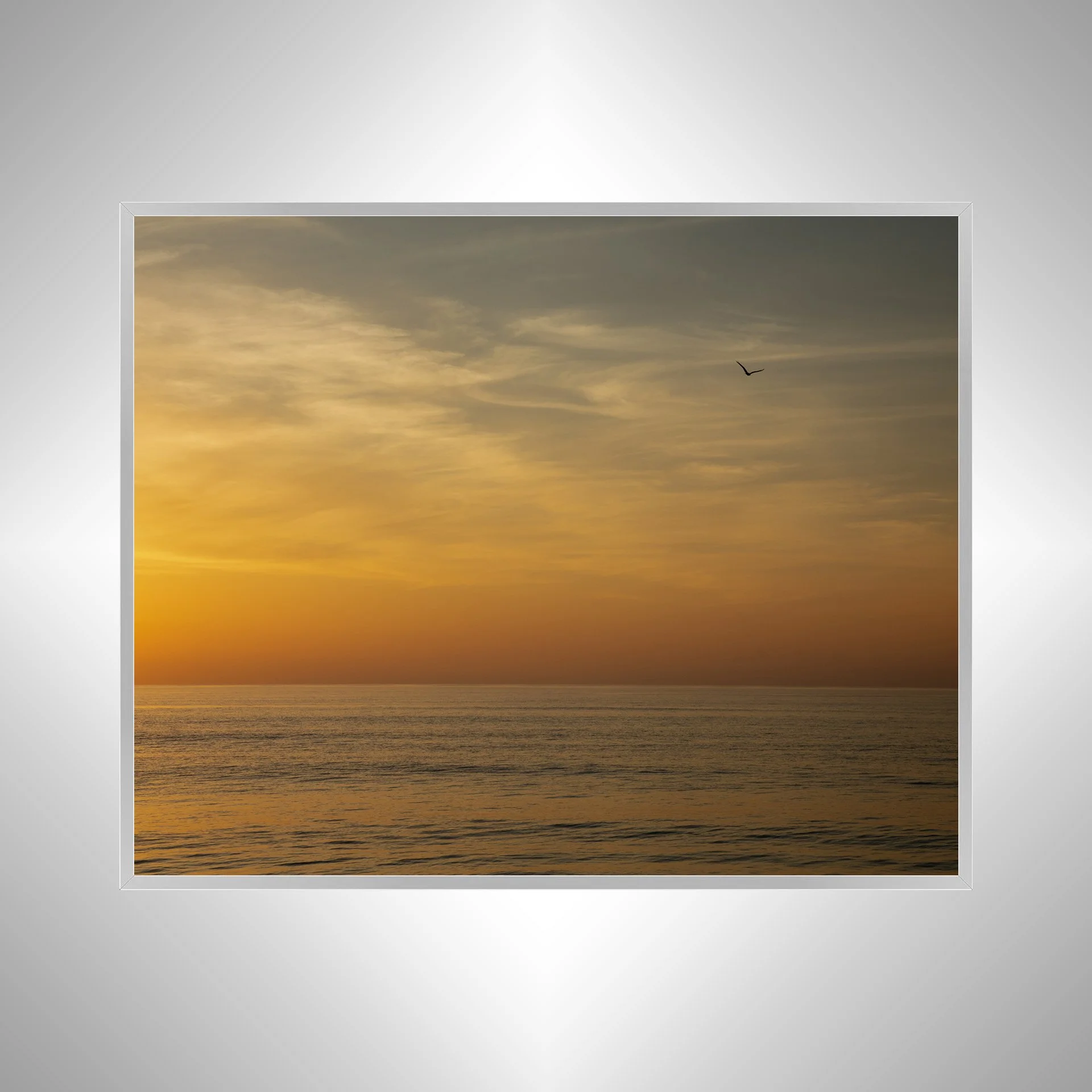 1:1 Orange Sunrise with Seagull in Duck, NC- Silver.jpg