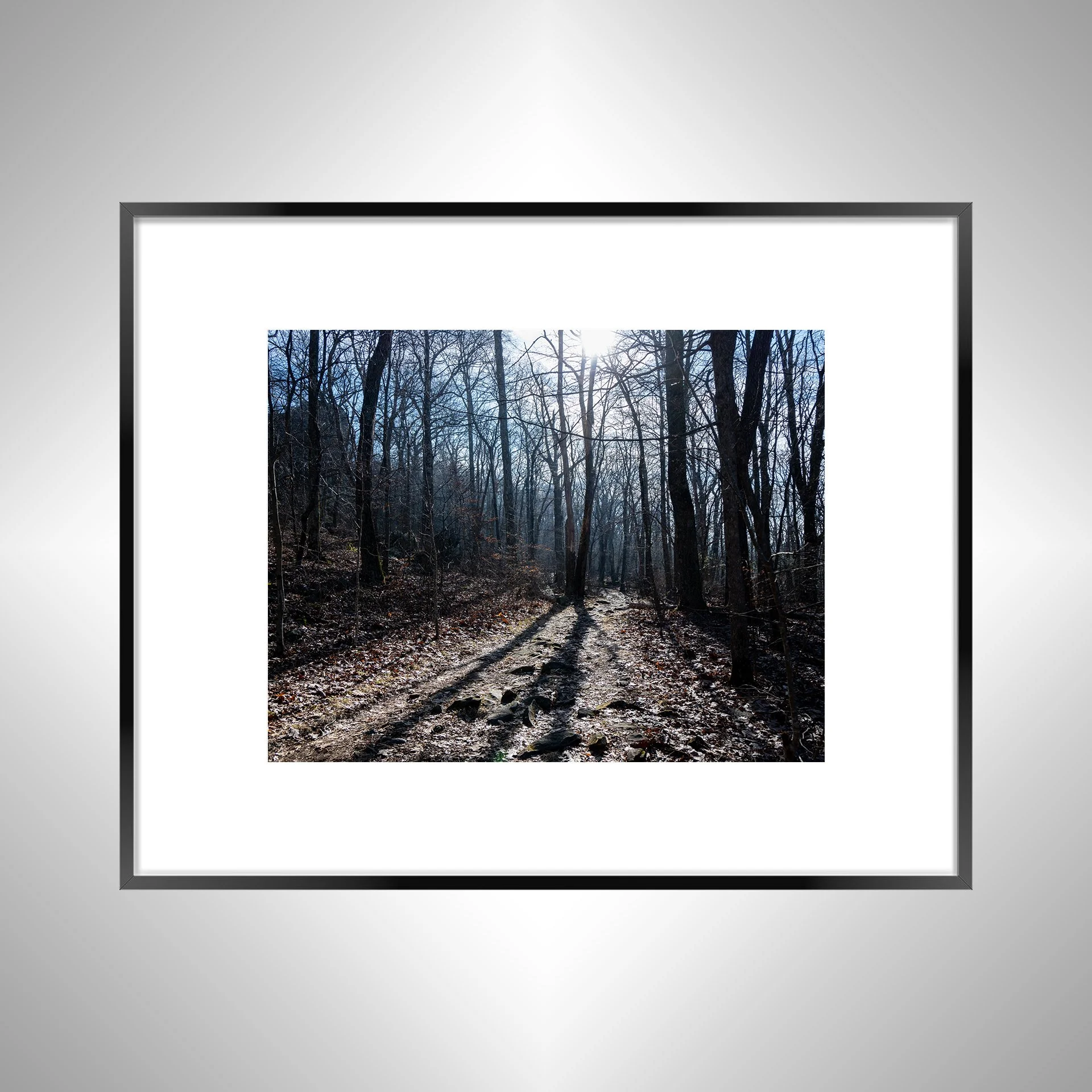 1:10 Shenandoah National Park Trail- b wv.jpg