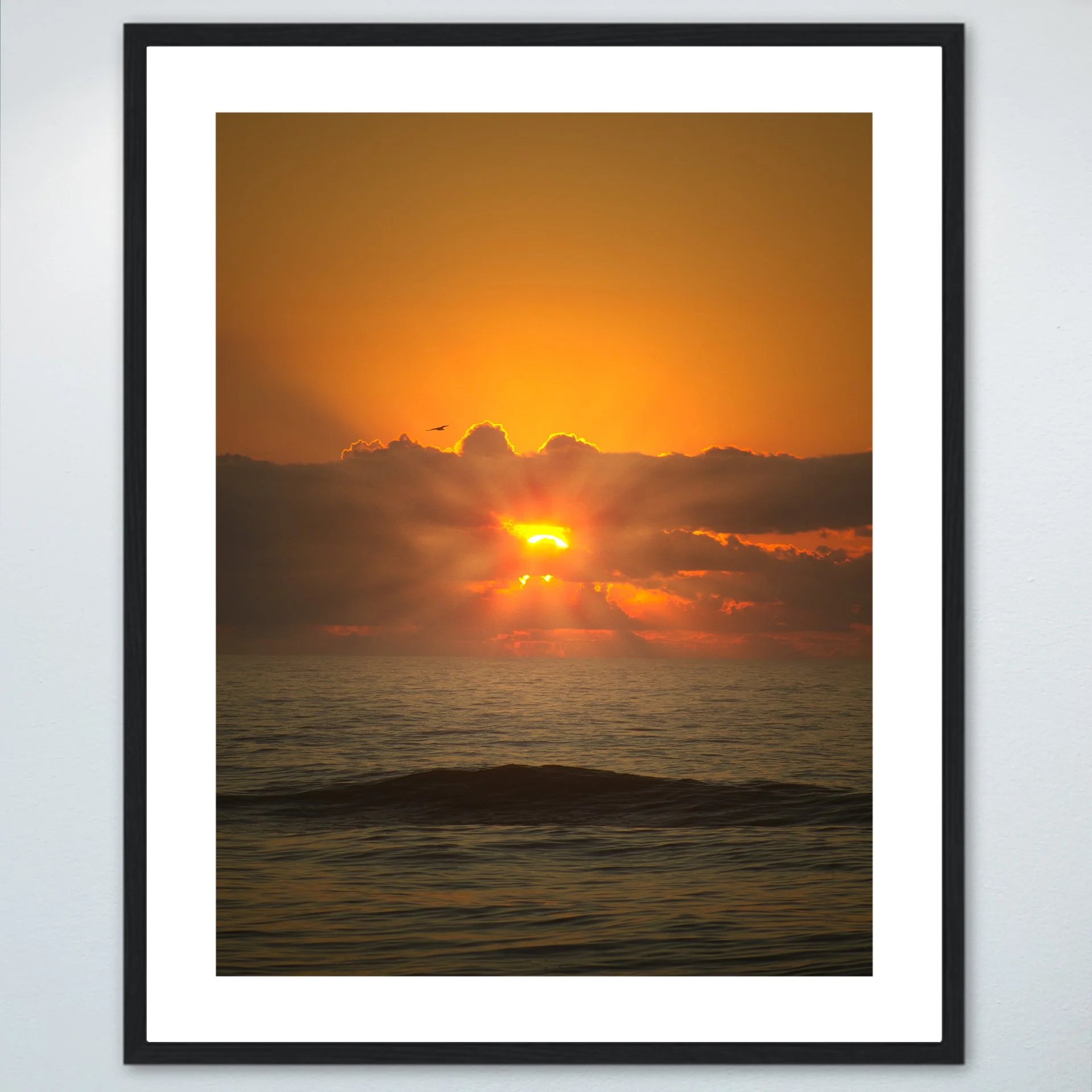 1:1 Sea + Gull Sunrise Flare- Wood w: Border.jpg