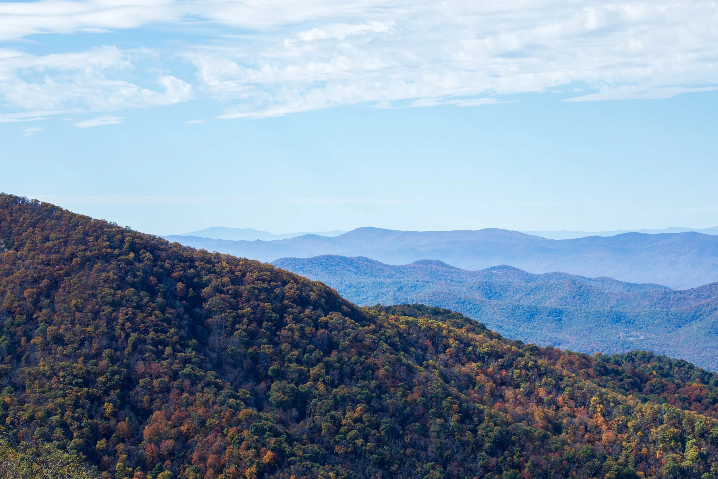 1:1 Rolling Shenandoah Mountains at Fall.jpg