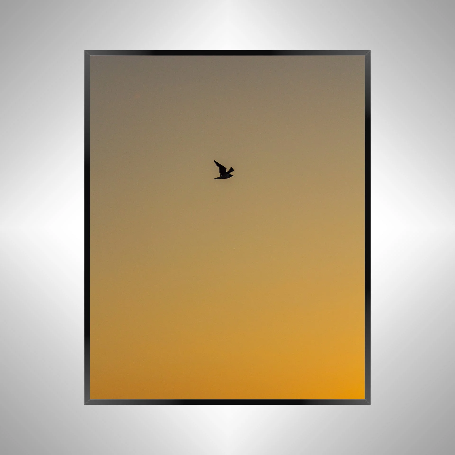1/1 Seagull Silhouette Soaring South with Orange Gradient
