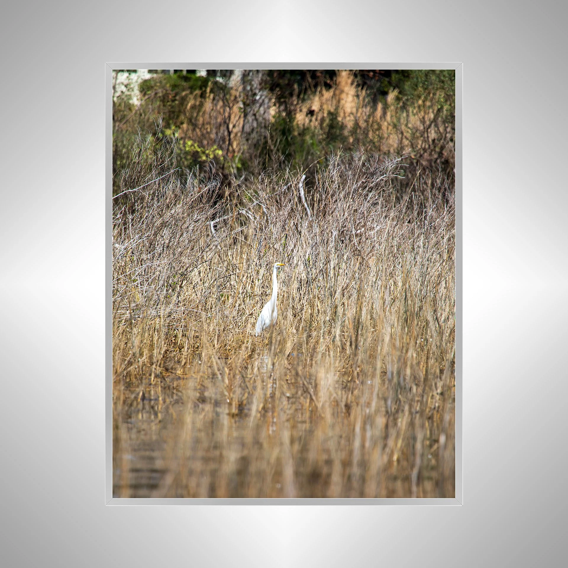 1:1 Wading Egret- Silver.jpg