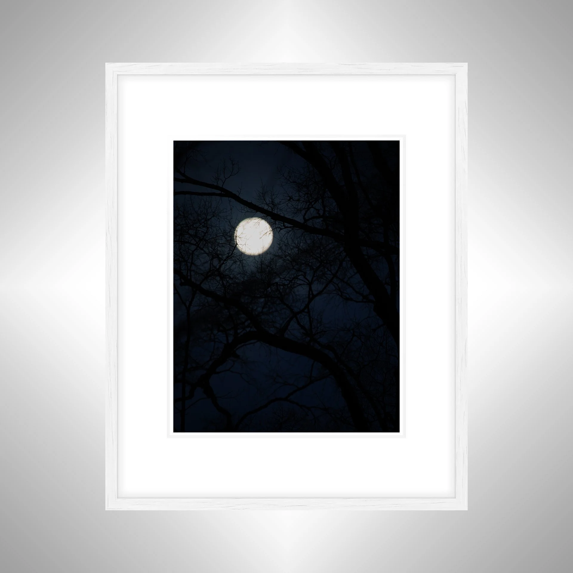 1:1 Spooky Moon in Norfolk- White w: Border.jpg