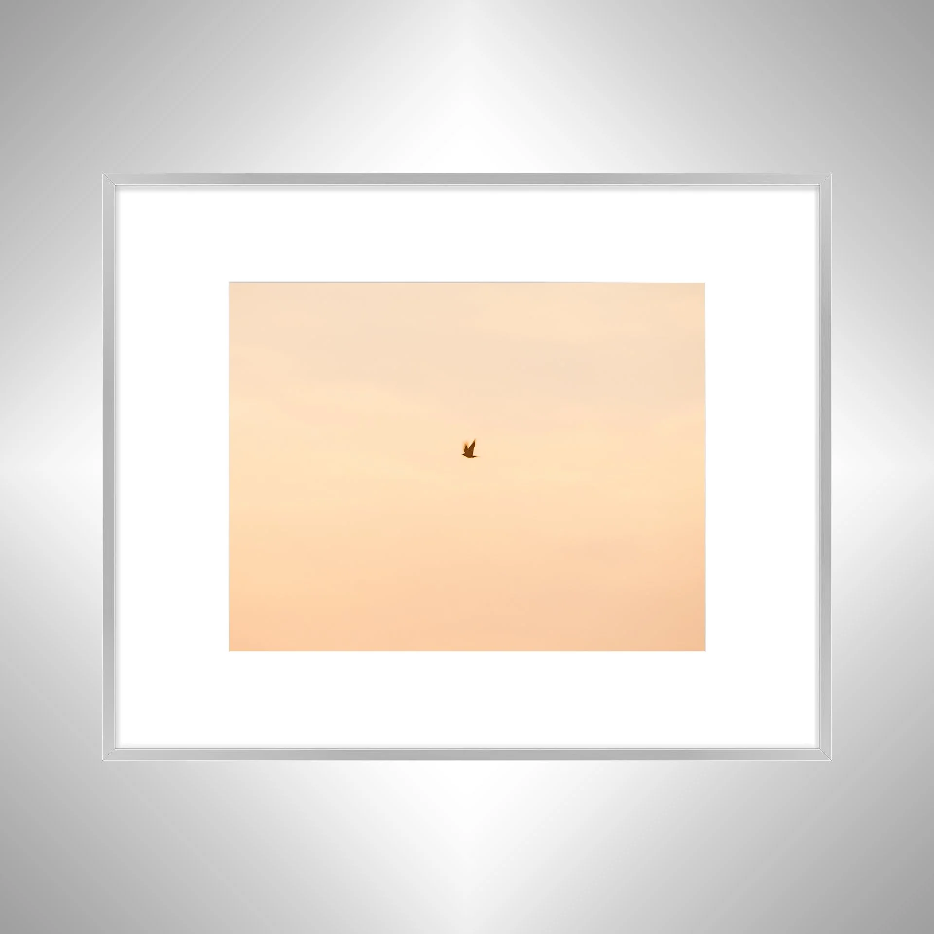 1:1 Slow Shutter Sunrise Seagull- Silver w: Border.jpg