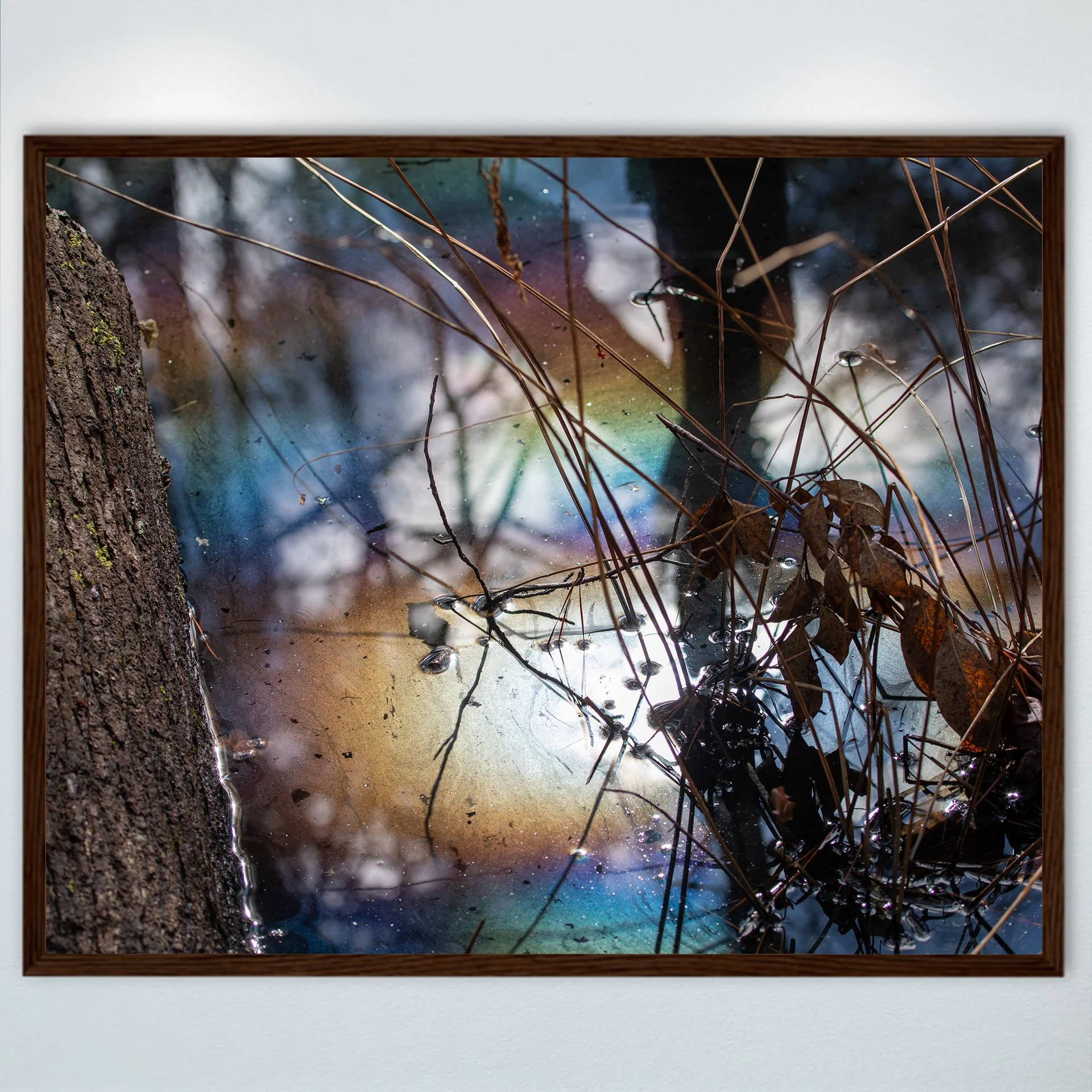 1:1 Rainbow Water at First Landing- Wood.jpg