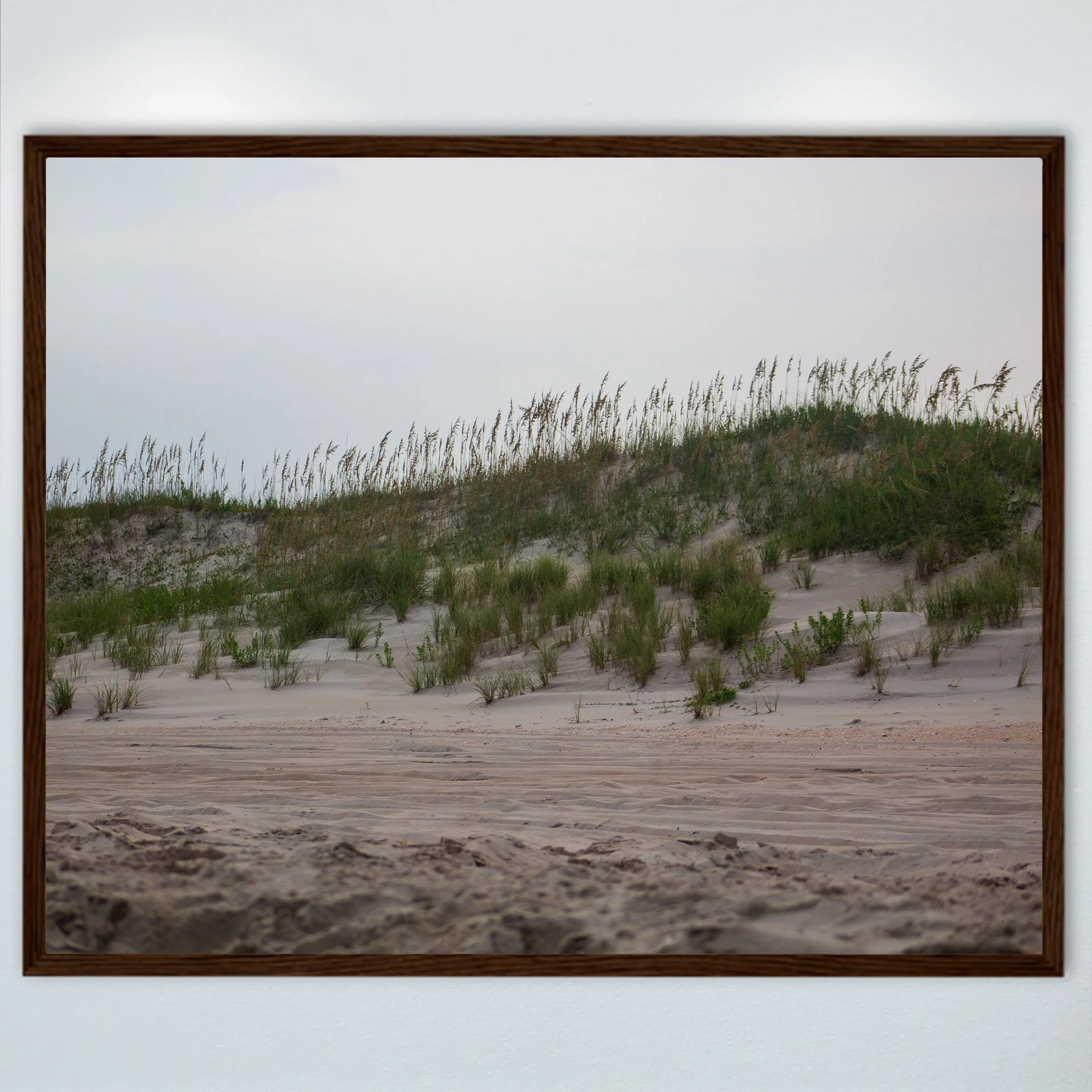 1:10 Ocracoke Dune Oats (Landscape)- Wood.jpg