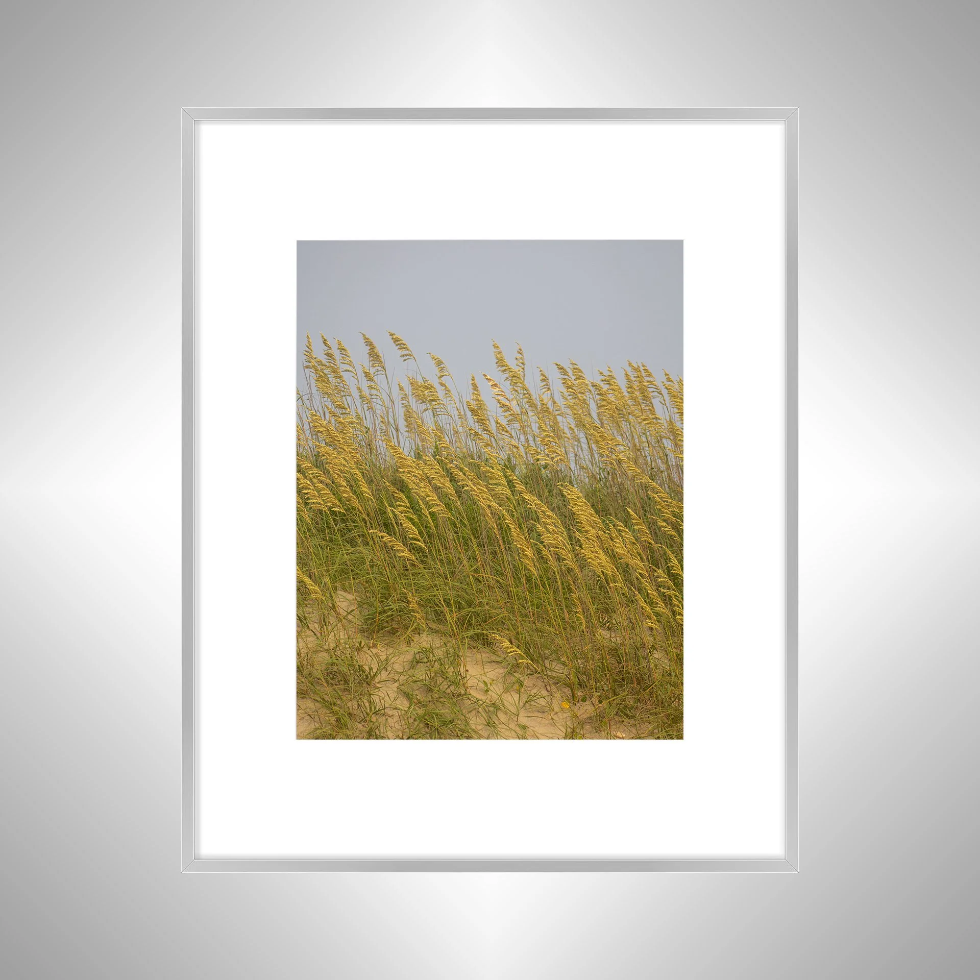 1:1 Rodanthe Dune Oats (Portrait)- Silver w: Border.jpg