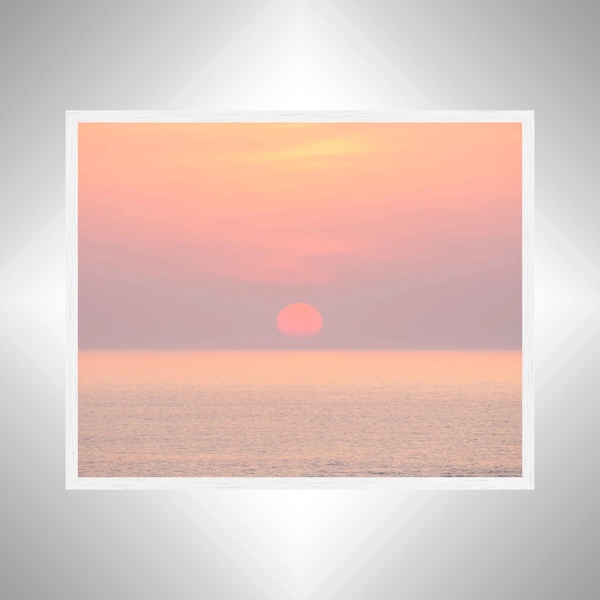 1:1 Pink Sun- White.jpg