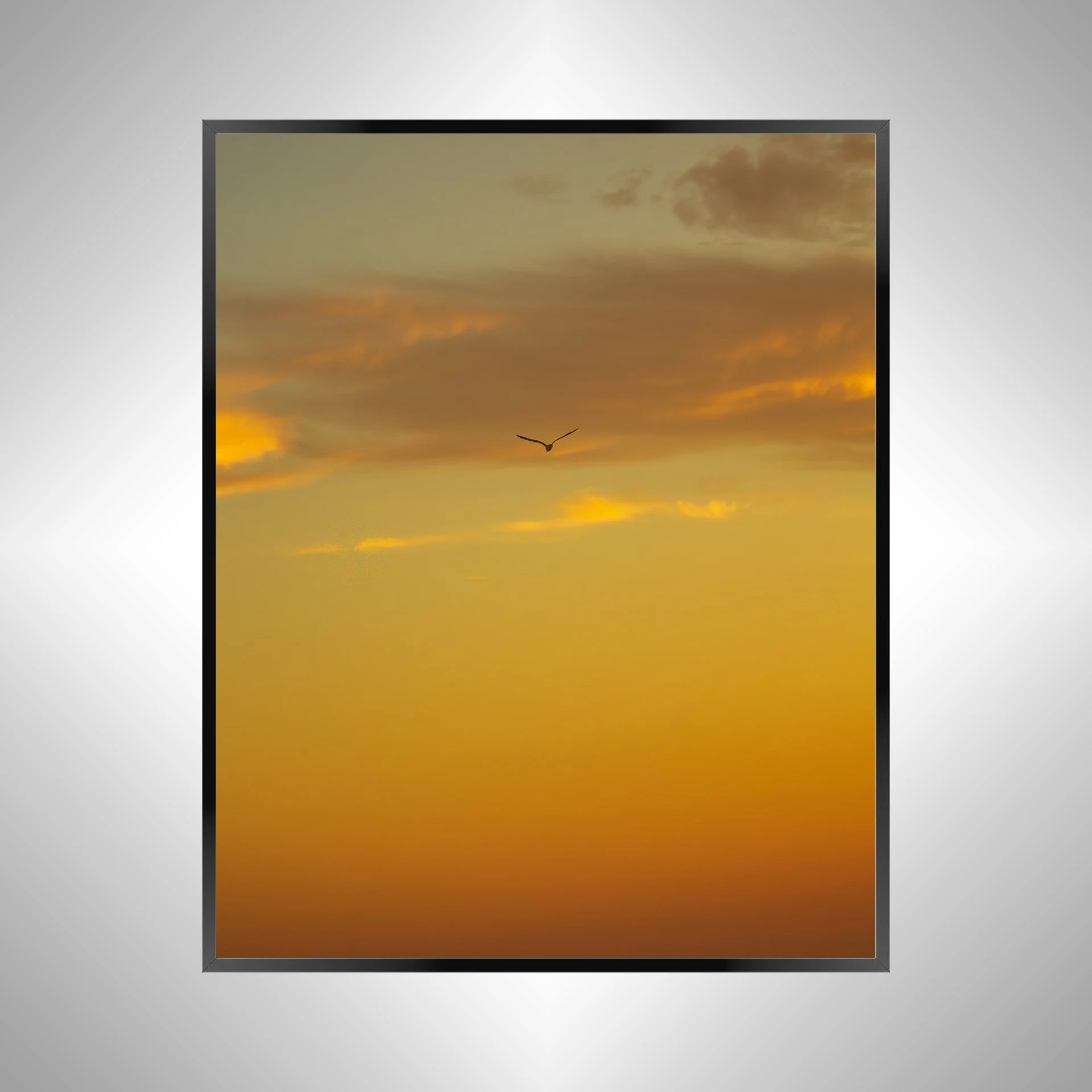 1/1 Seagull Soaring towards Clouds & Sunrise Gradient