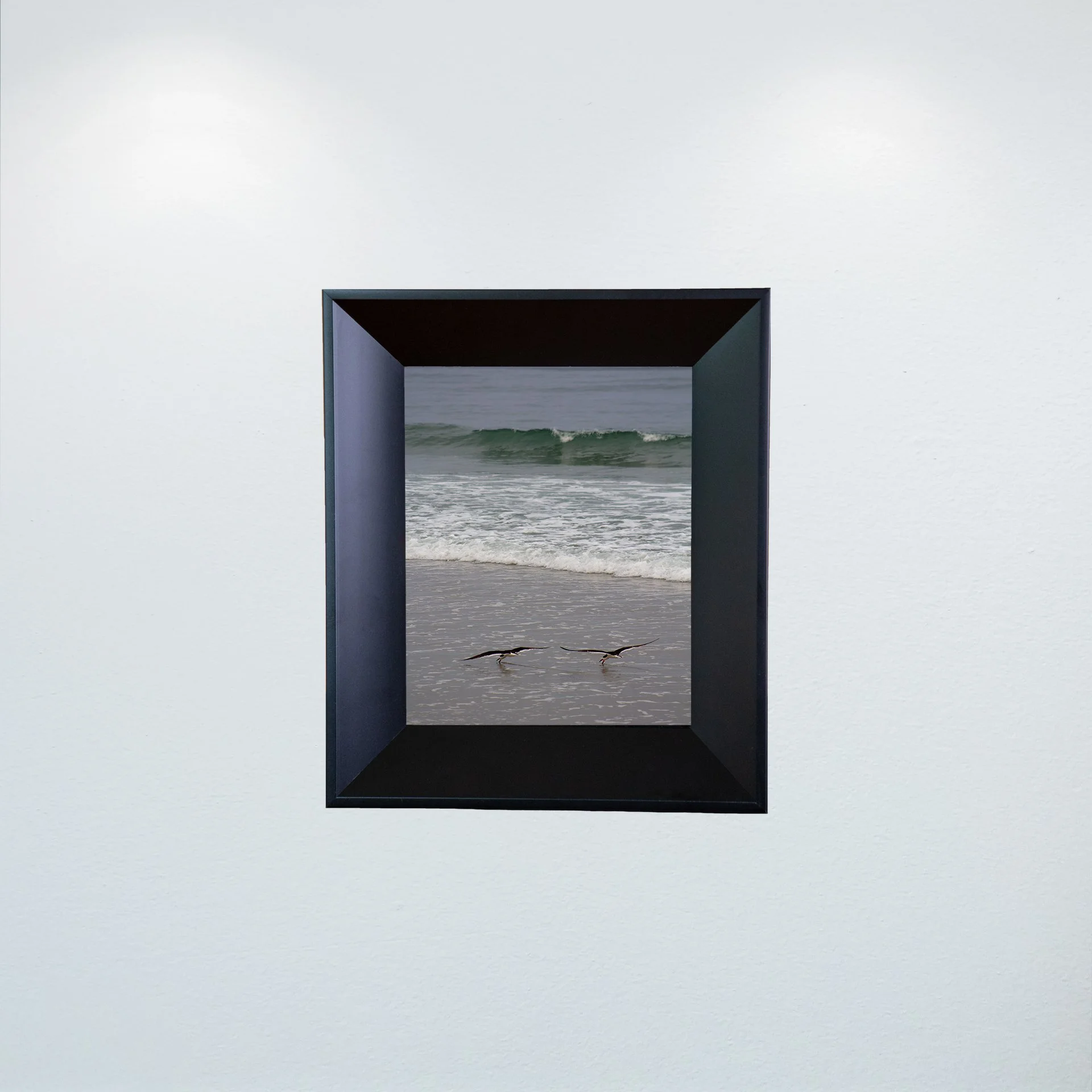 1:1 Oyster Catcher Couple Hunting in Carova- Mini.jpg