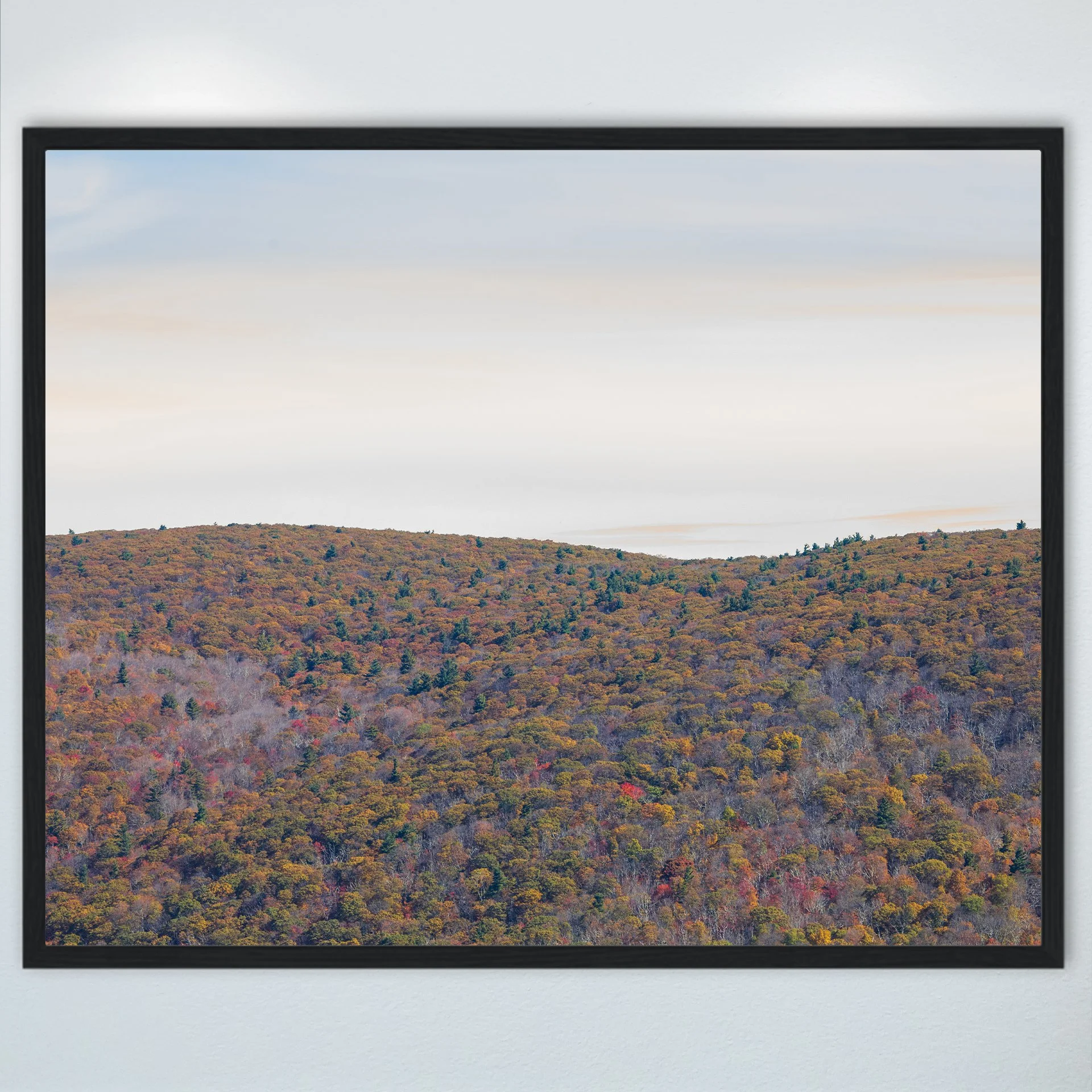 1:1 Shenandoah Mountain Tree Canopy at Fall- Wood.jpg