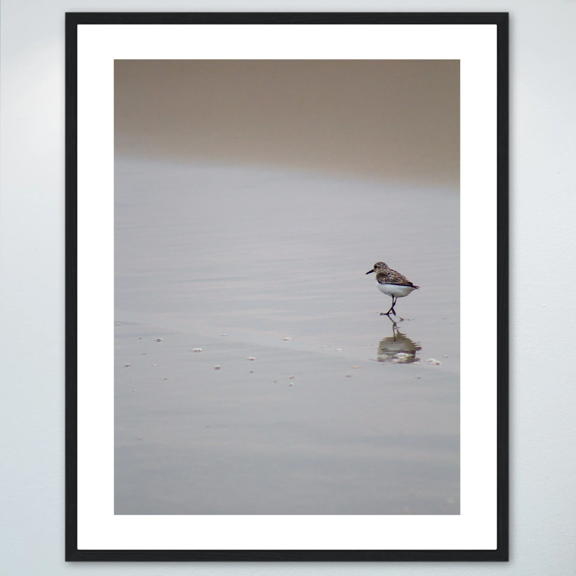 1:1 Sanderling Reflection- Wood w: Border.jpg