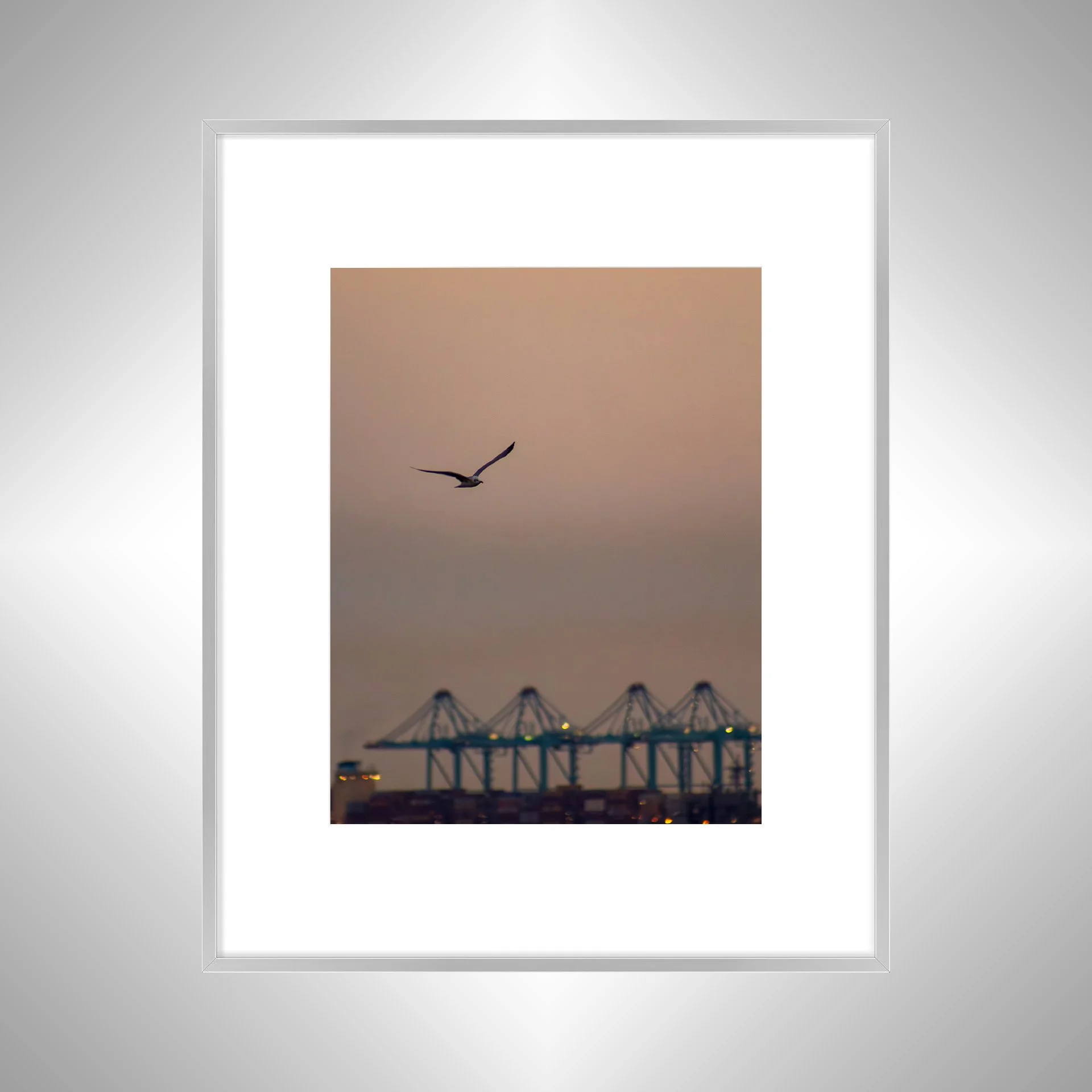 1:1 Seagull with Terminal Cranes- Silver w: Border.jpg